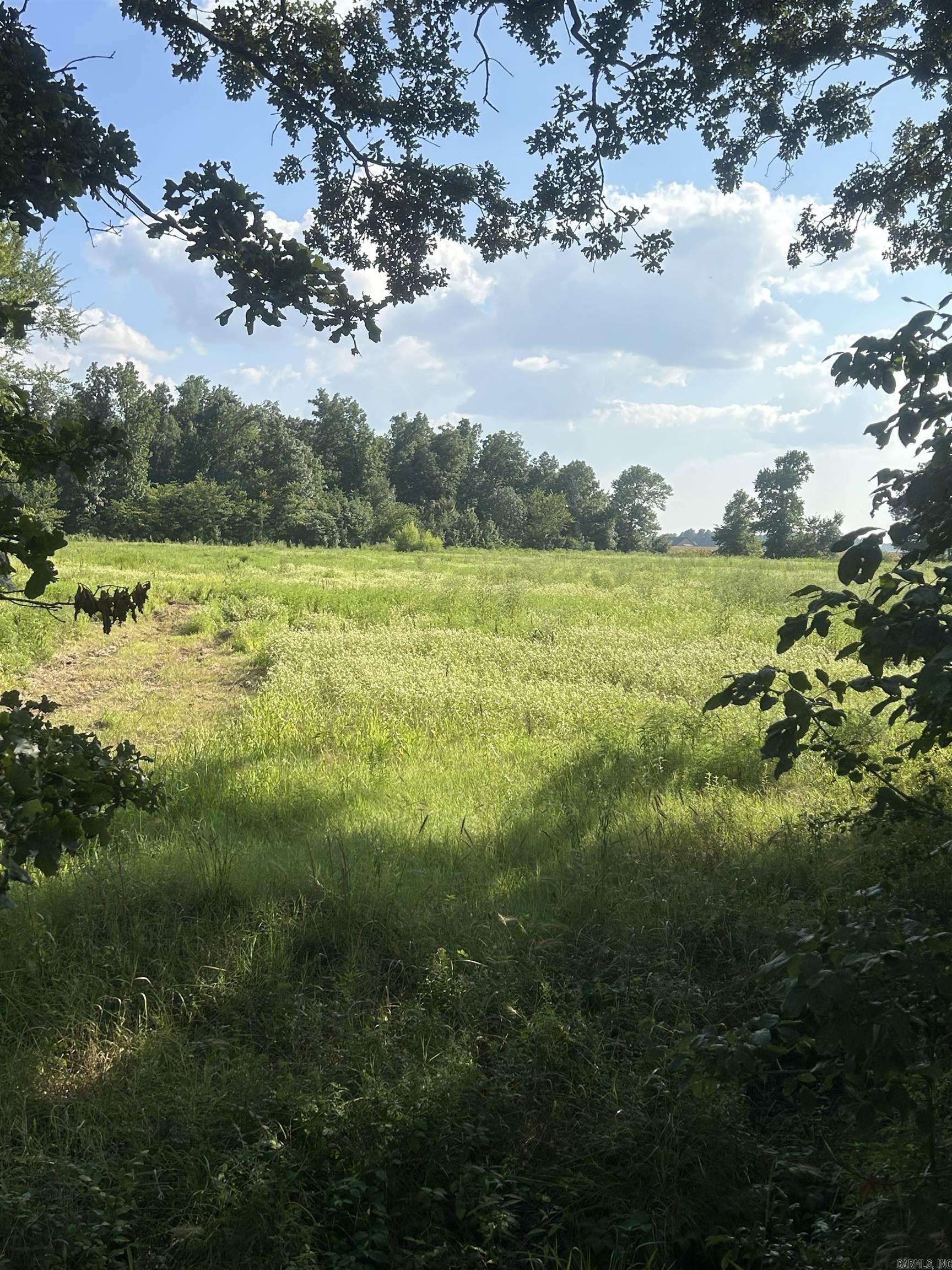 A country setting with the conveniences of the city and industry just minutes away. The property sits near Jonesboro's NEA hospital , ASU and Jonesboro's Industrial Park which just announced the addition of a New Amazon distribution hub. The location offers CR 954 frontage access with rural water and electricity on site. The property consists of woods and pasture. No restrictions, Boa's or HOA's are known to be attached to this property. A great location with a lot of opportunities awaiting.