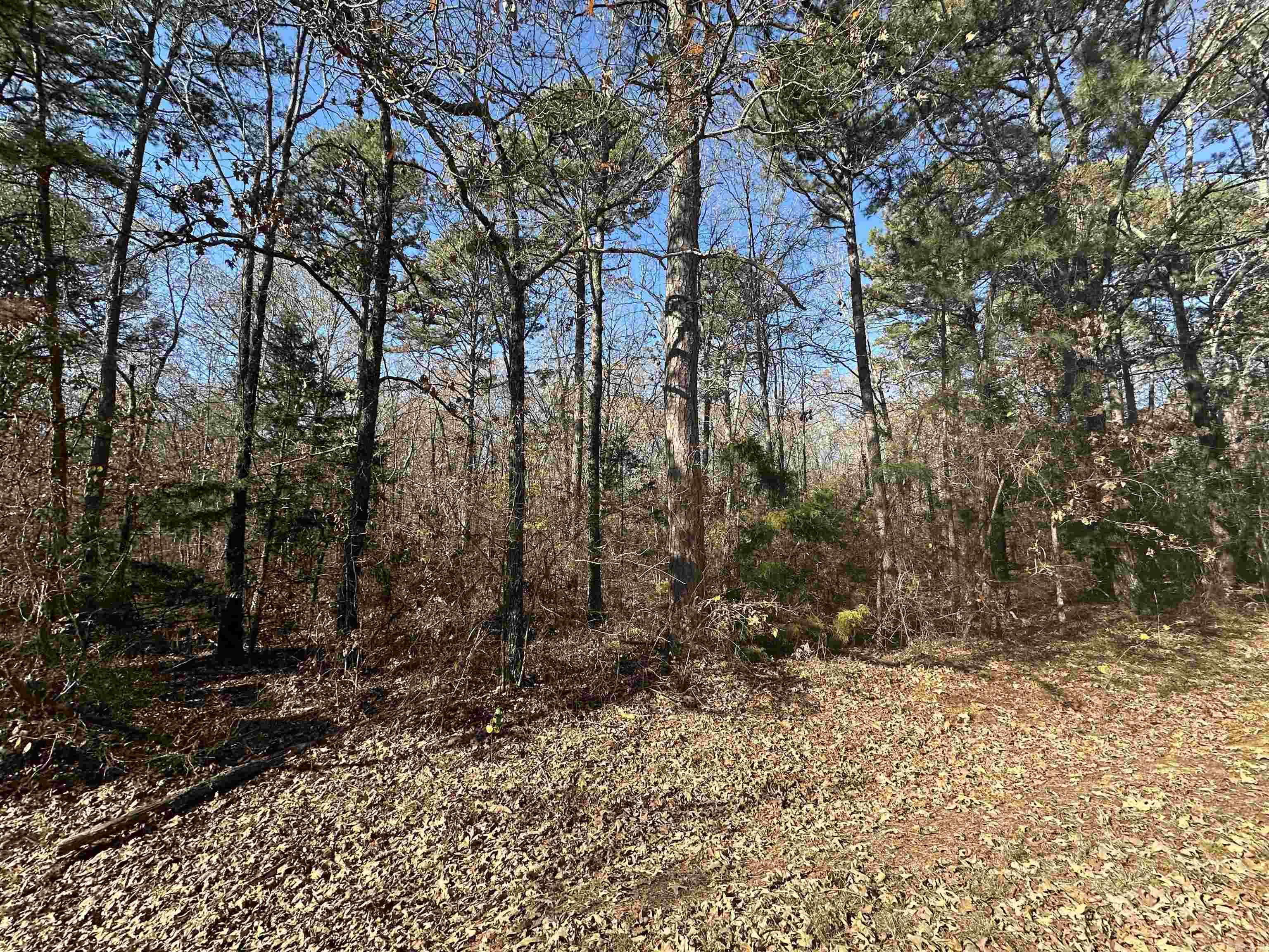 Nice buildable lots located right in the middle of town and close to EVERYTHING. These won't last long so call today.