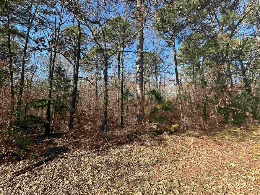 Nice buildable lots located right in the middle of town and close to EVERYTHING. These won't last long so call today.
