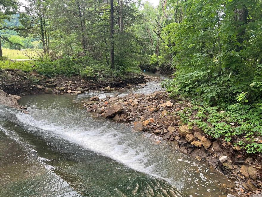 Prettiest 62 acres for sale in Newton County  All improved pasture, year round creek, killer views Property is fenced for livestock. Power and city water available