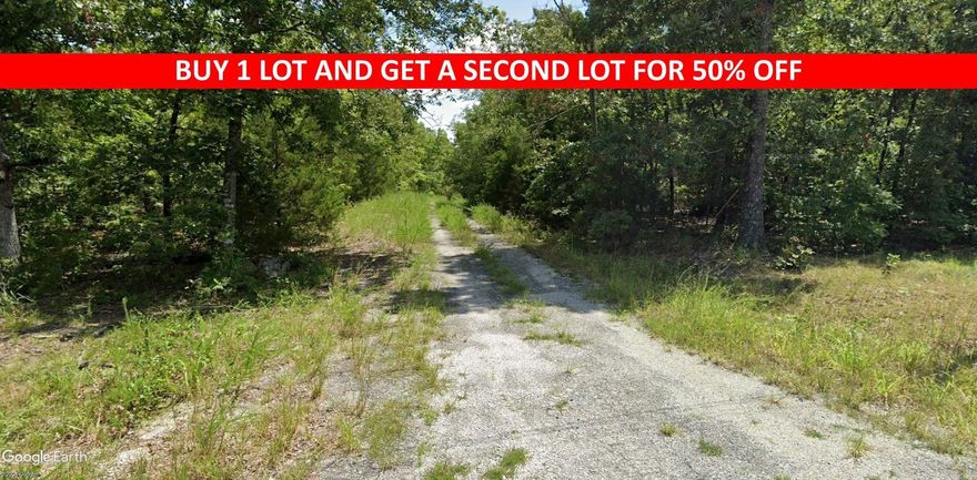 Buy one lot and get 50% off an additional lot! Owner-finance for easy terms. Cash buyers can pay by debit or credit card as well. Nice lot to develop or hold for future value. Public water and electric are available to run to property and will need septic. Owner/agent. Finance is 5 months at $194 and closing costs are included. Lots marked with red banner are part of promotion. No limit on lots. Buyer responsible for any/all taxes and lots sold "as-is". Quit claim deed conveys. Parcel ID# 405-21480-000