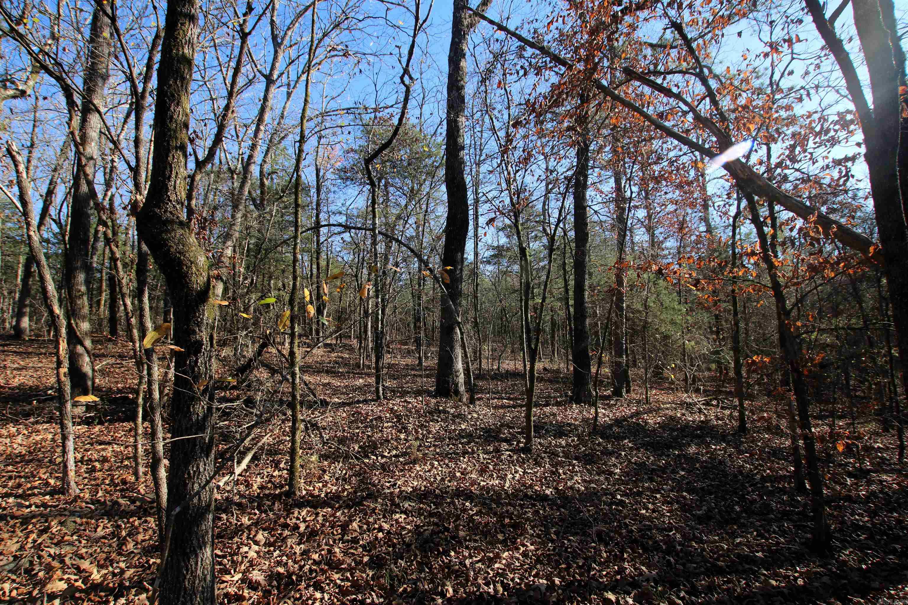 Not in Subdivision - Land