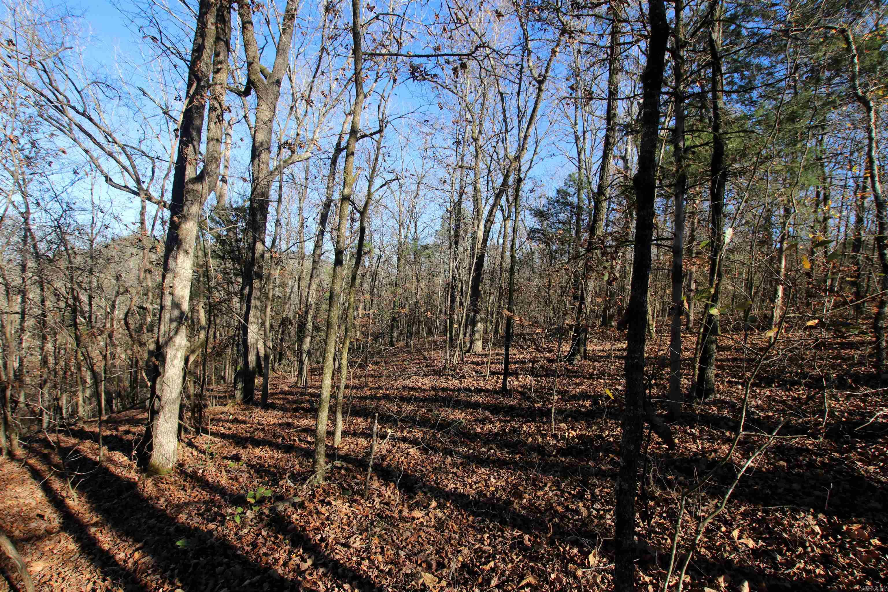 Not in Subdivision - Land