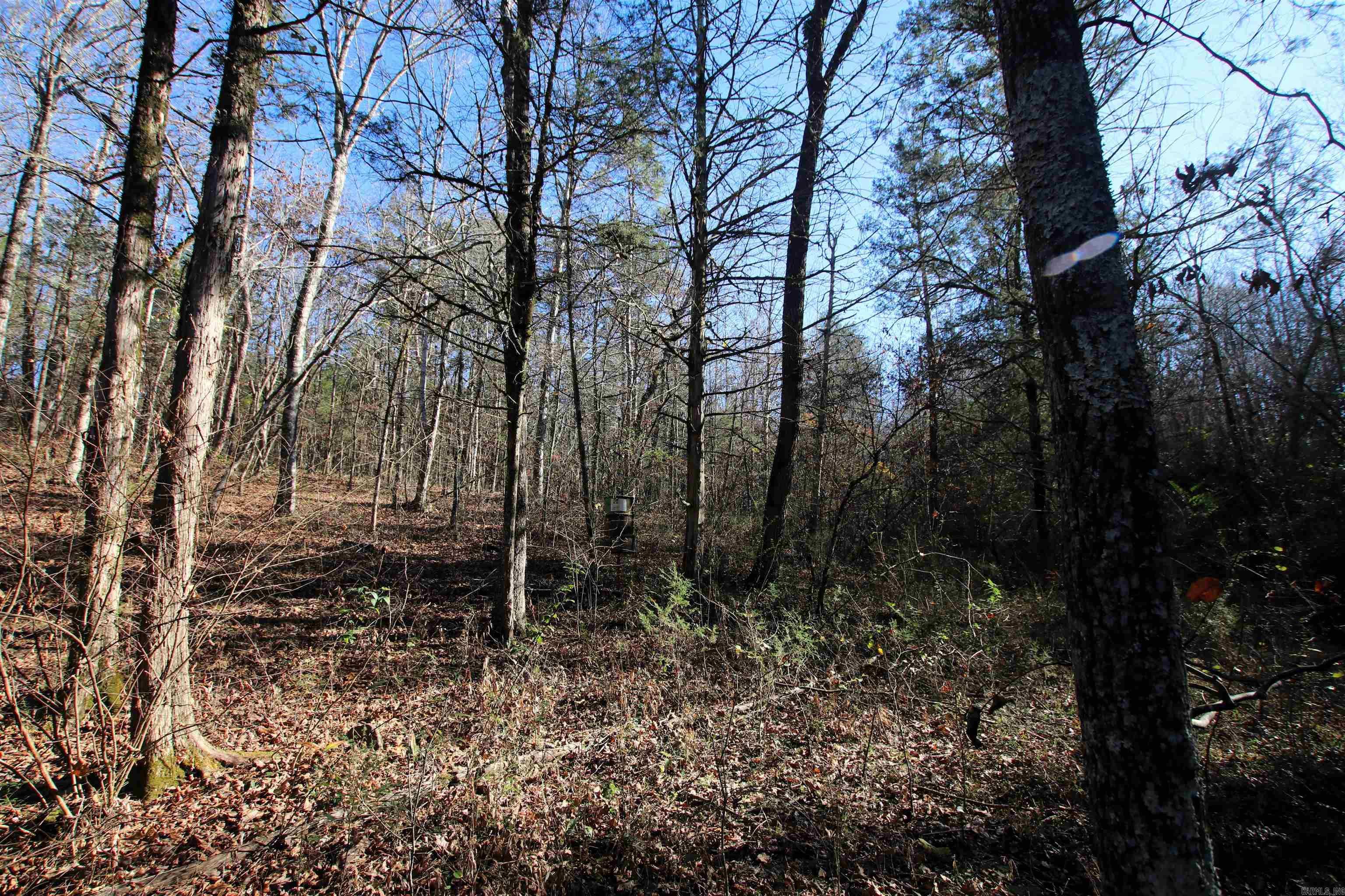 Not in Subdivision - Land