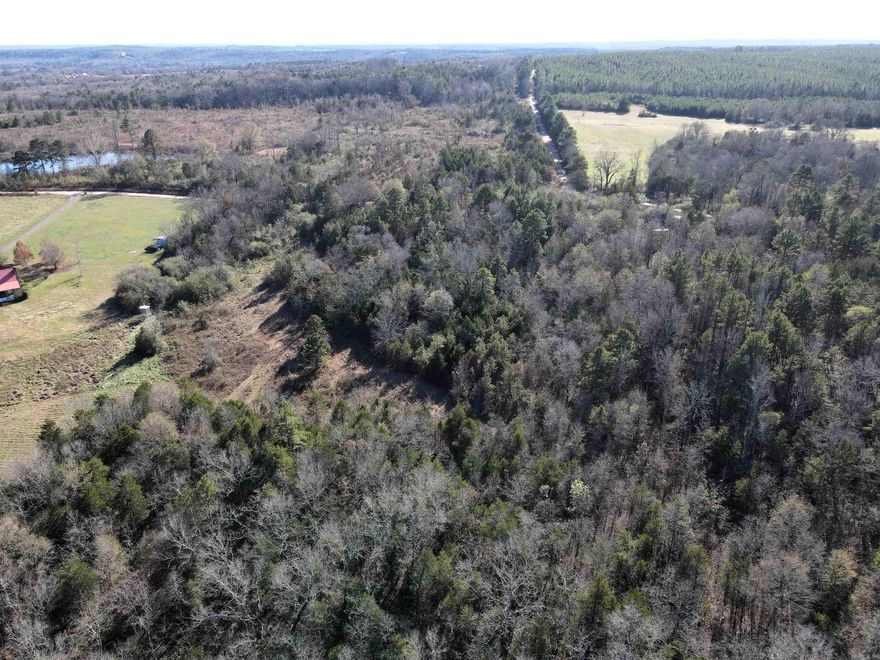 15 +/- acres County road frontage Heavy-mast-producing trees Numerous build sites Great topography Wet-weather creek Utilities at the road Incredible hunting for deer, turkeys, and bears Mostly fenced 23 miles to Clinton 21 miles to Morrilton