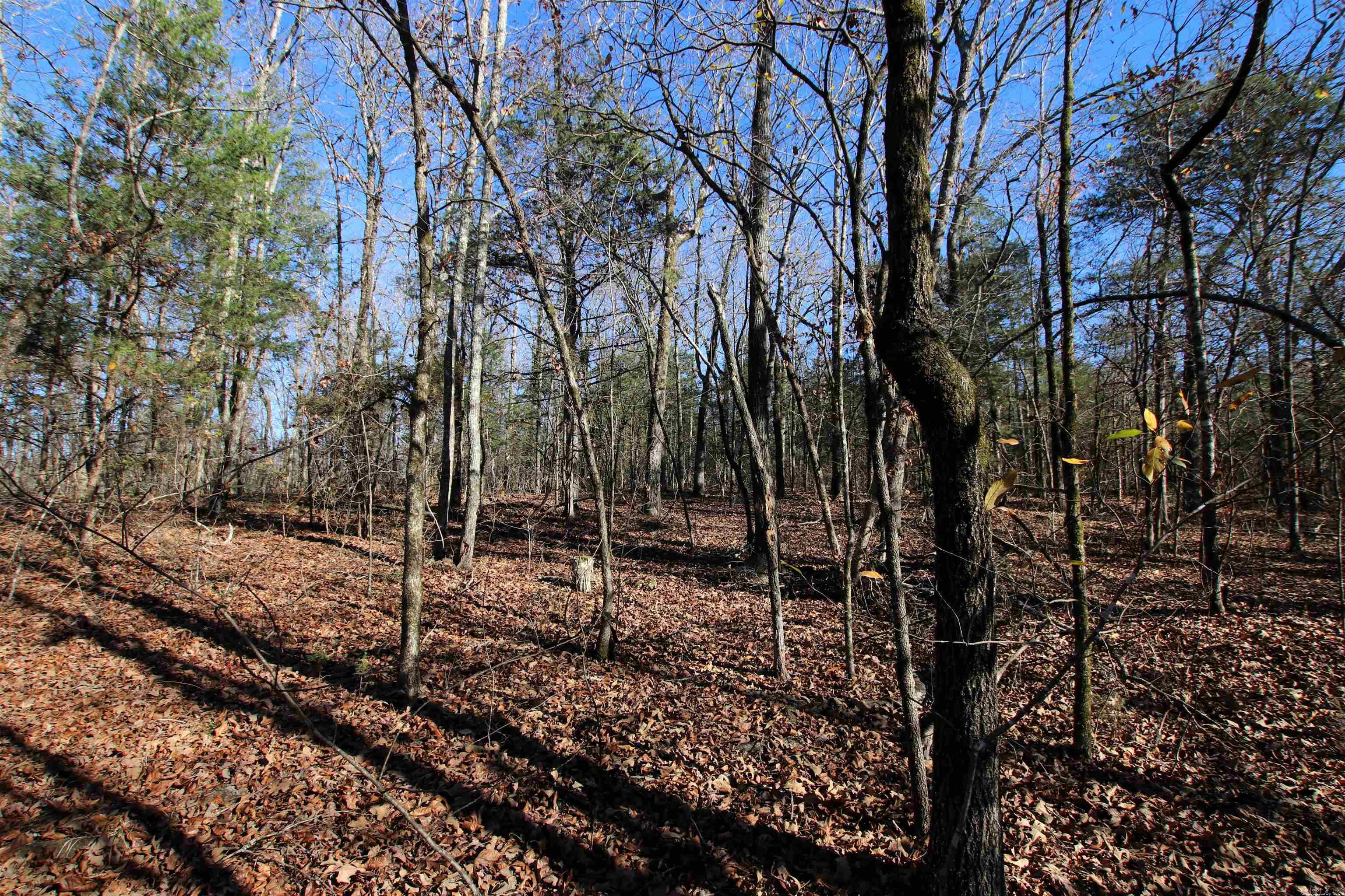 Not in Subdivision - Land