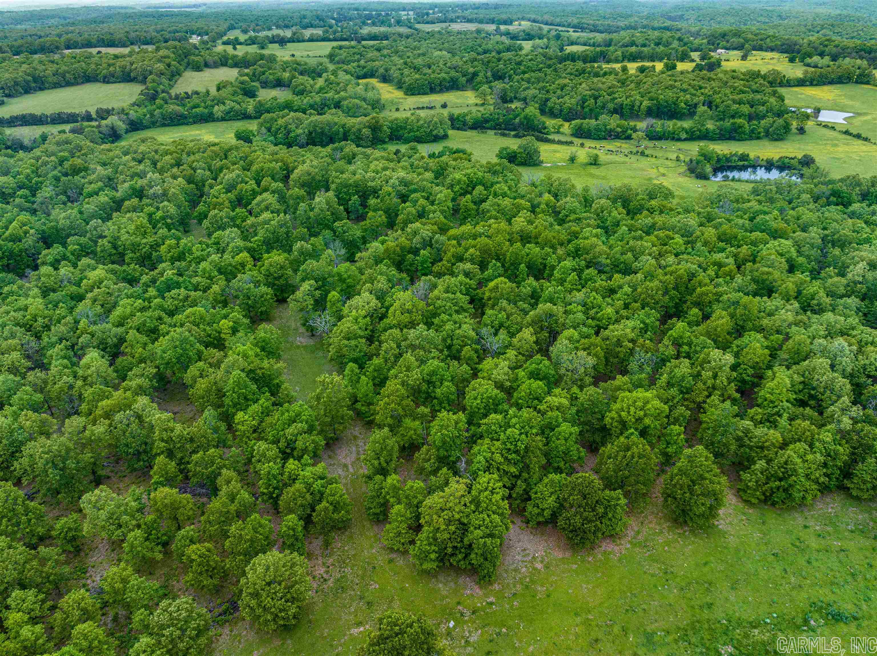 Metes & Bounds - Land