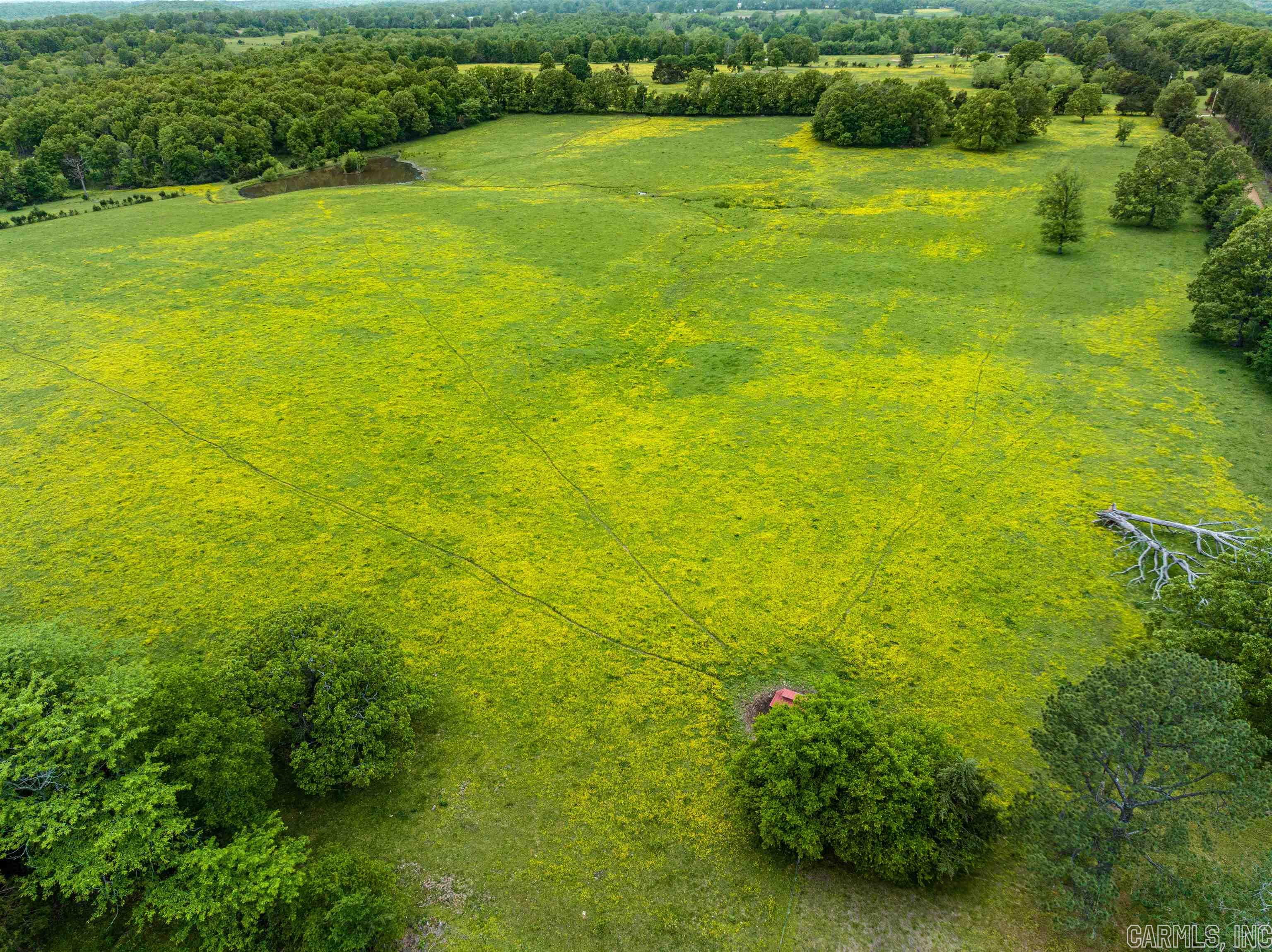 Metes & Bounds - Land