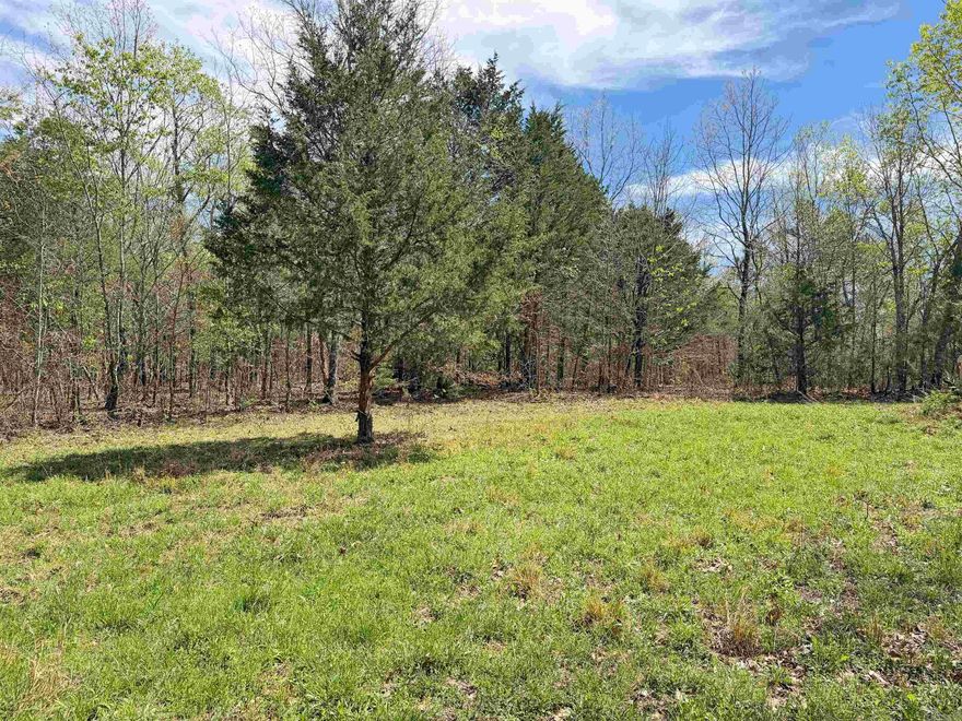 133.65 acres with a ton to offer. This property is set up and ready to enjoy from day one, with established trails running throughout that make it easy to explore the entire property. Whether you're looking to build, hunt, or just have your own private getaway, this one checks the boxes.  There’s a beautiful main build site with a stunning view, plus multiple additional spots that would work well for cabins, guest homes, or future development. Wildlife is abundant—deer, turkey, and even bear have all been seen on the property—making it a great hunting or recreational tract.  Utilities are available at the road, so you’ve got a head start whether you're planning to build now or down the road. Properties with this much acreage, usability, and potential don’t come around often.