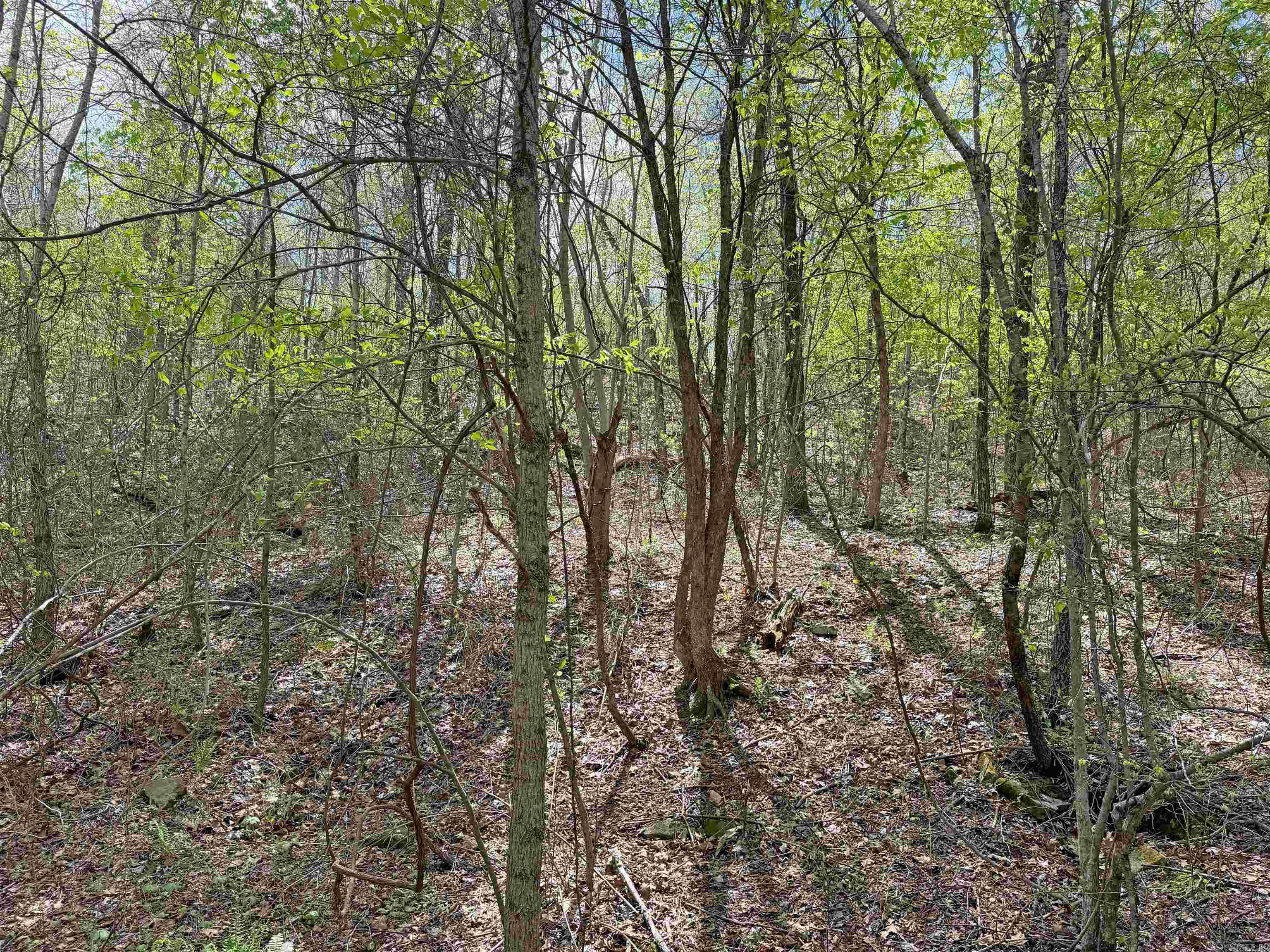 Metes & Bounds - Land