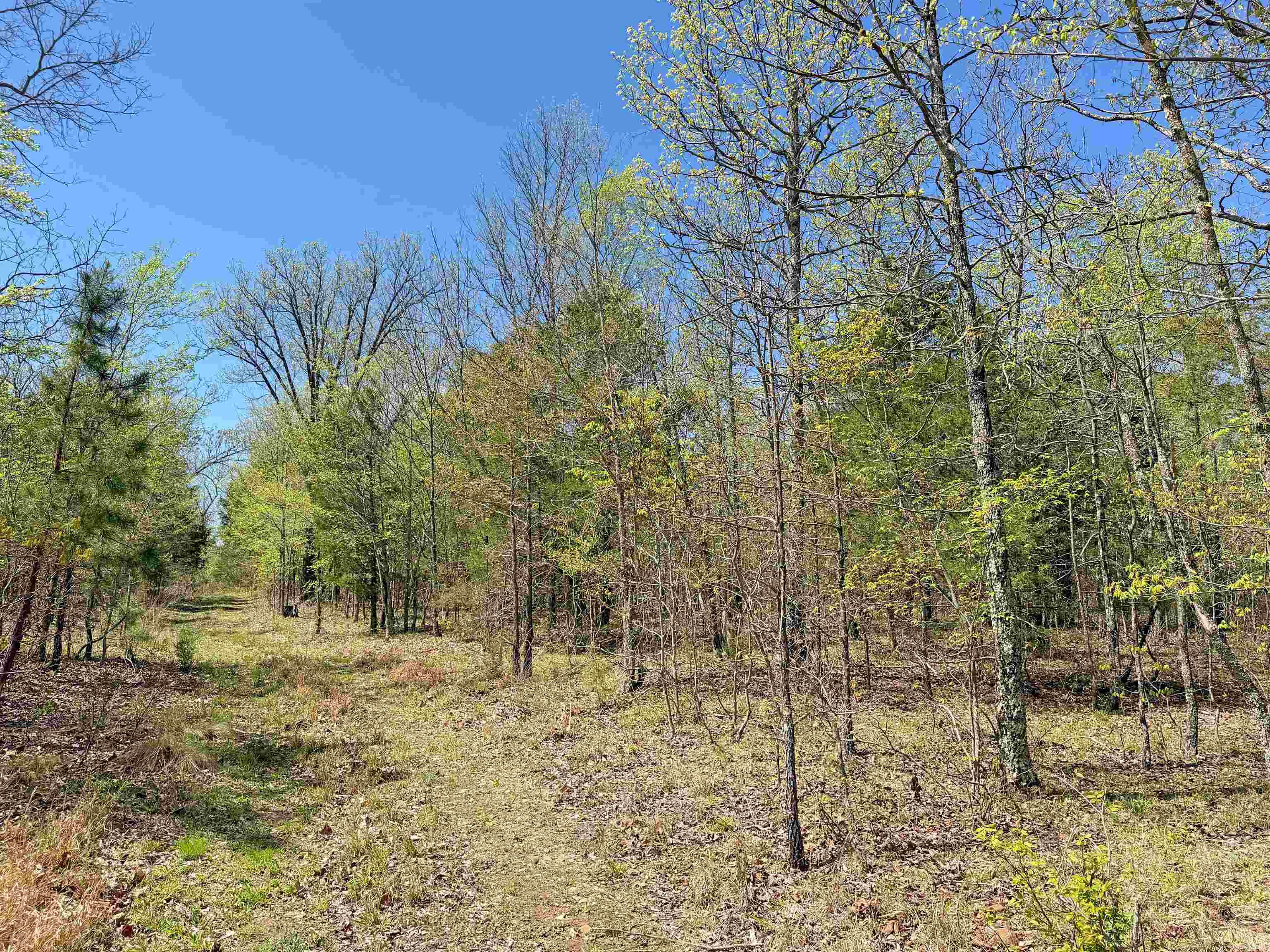 Metes & Bounds - Land