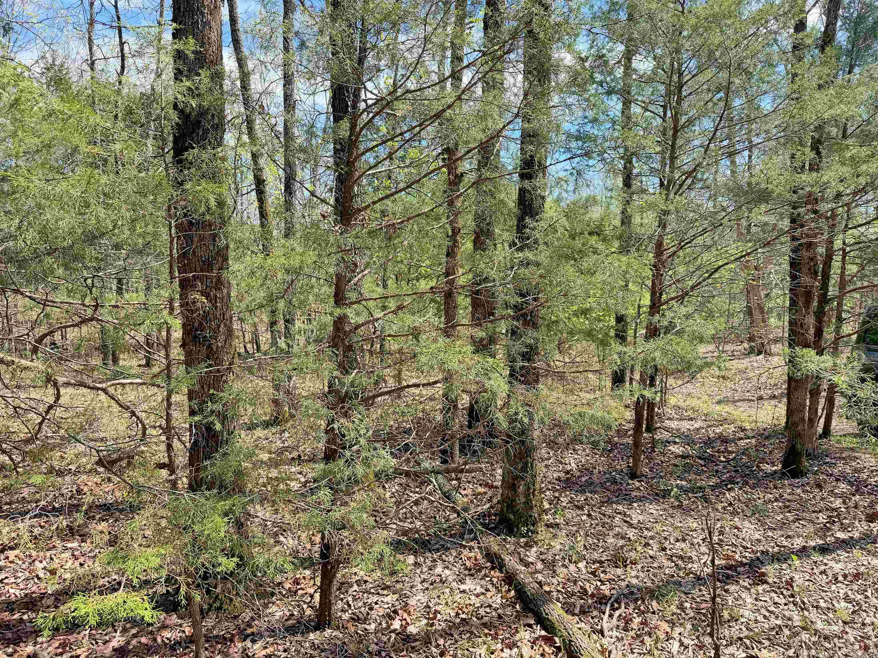 Metes & Bounds - Land