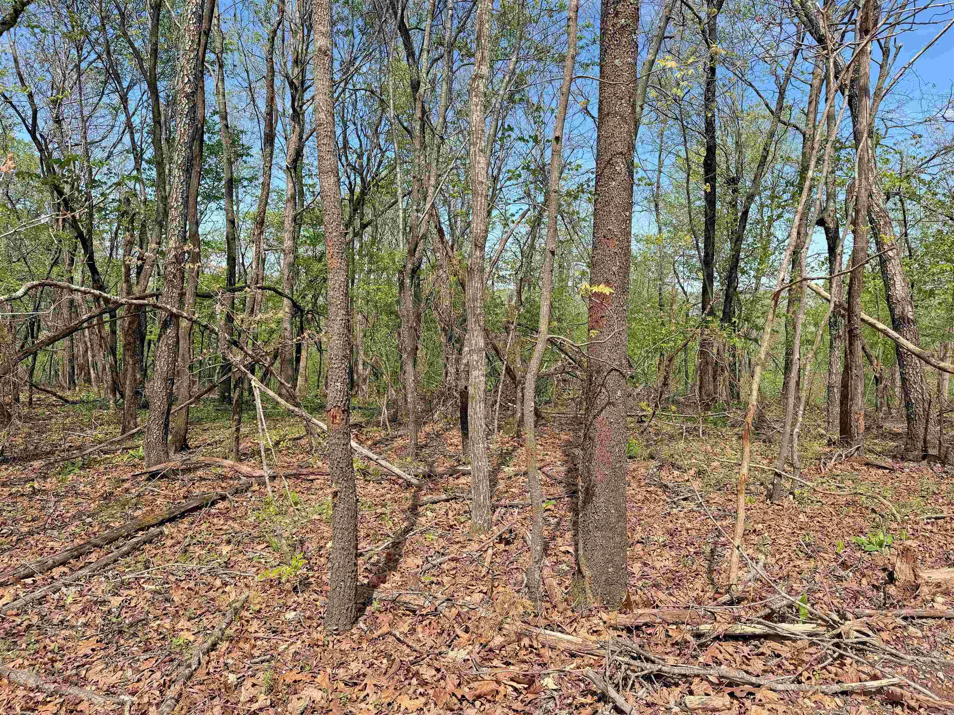 Metes & Bounds - Land