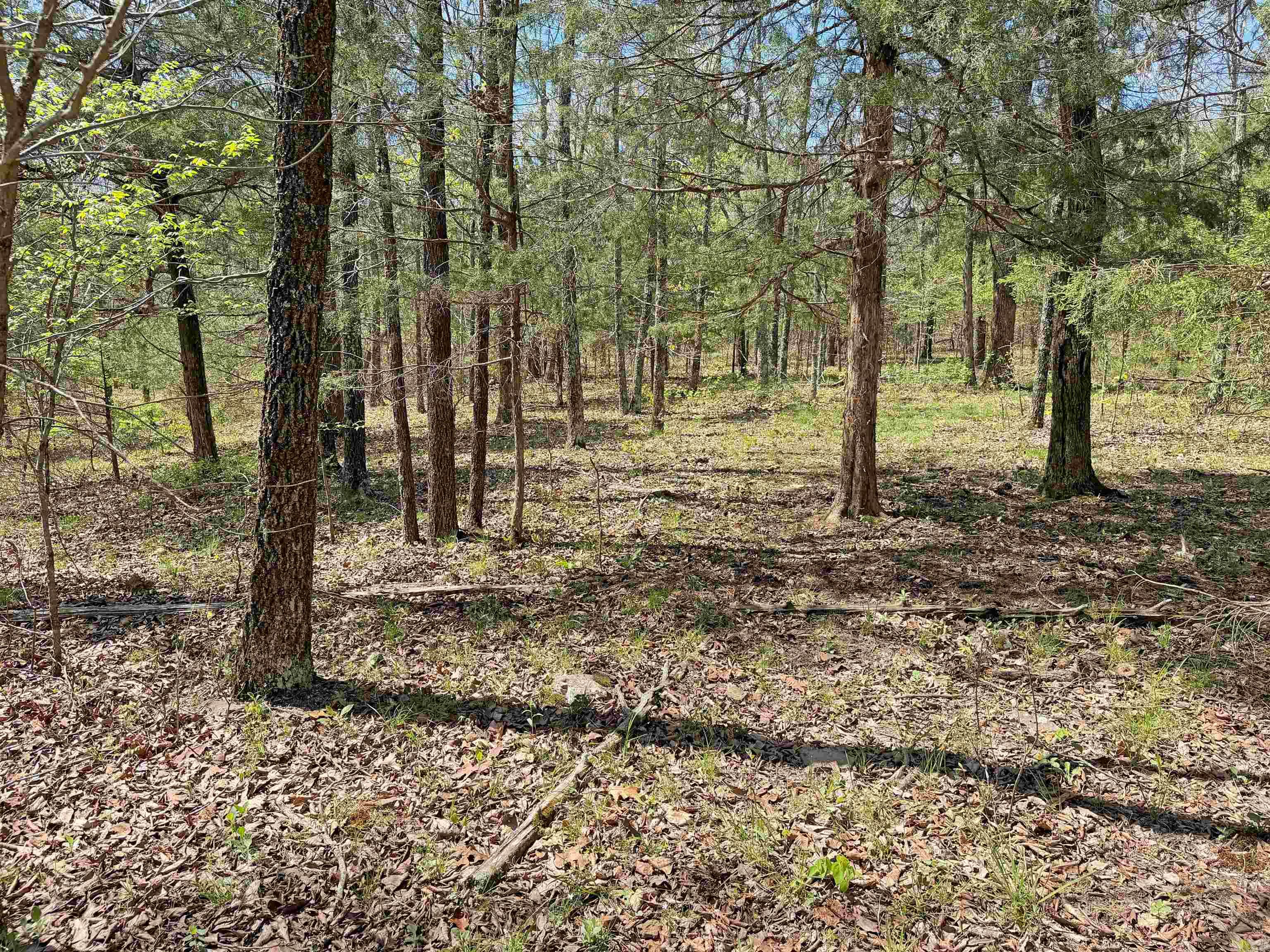 Metes & Bounds - Land