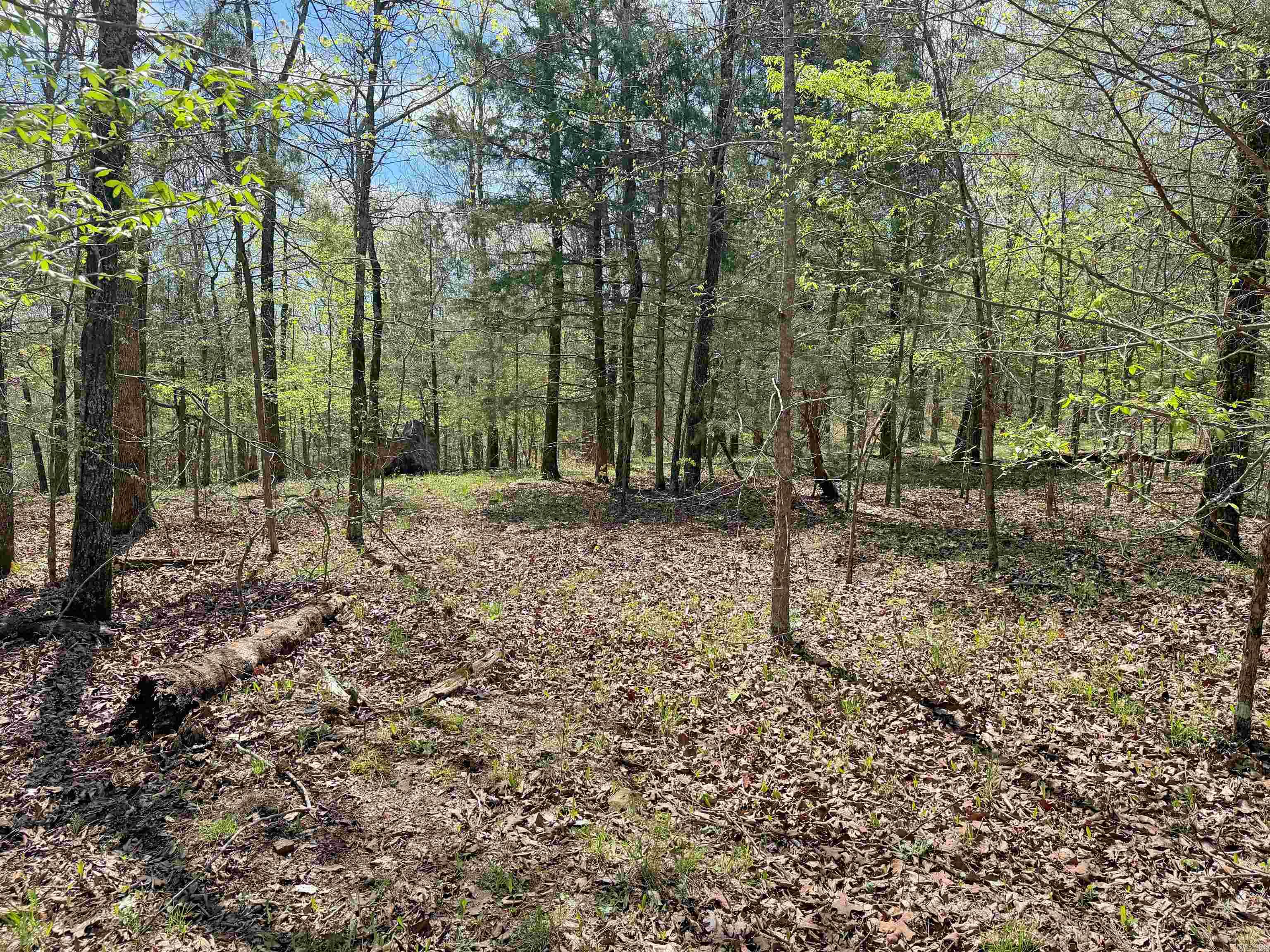 Metes & Bounds - Land