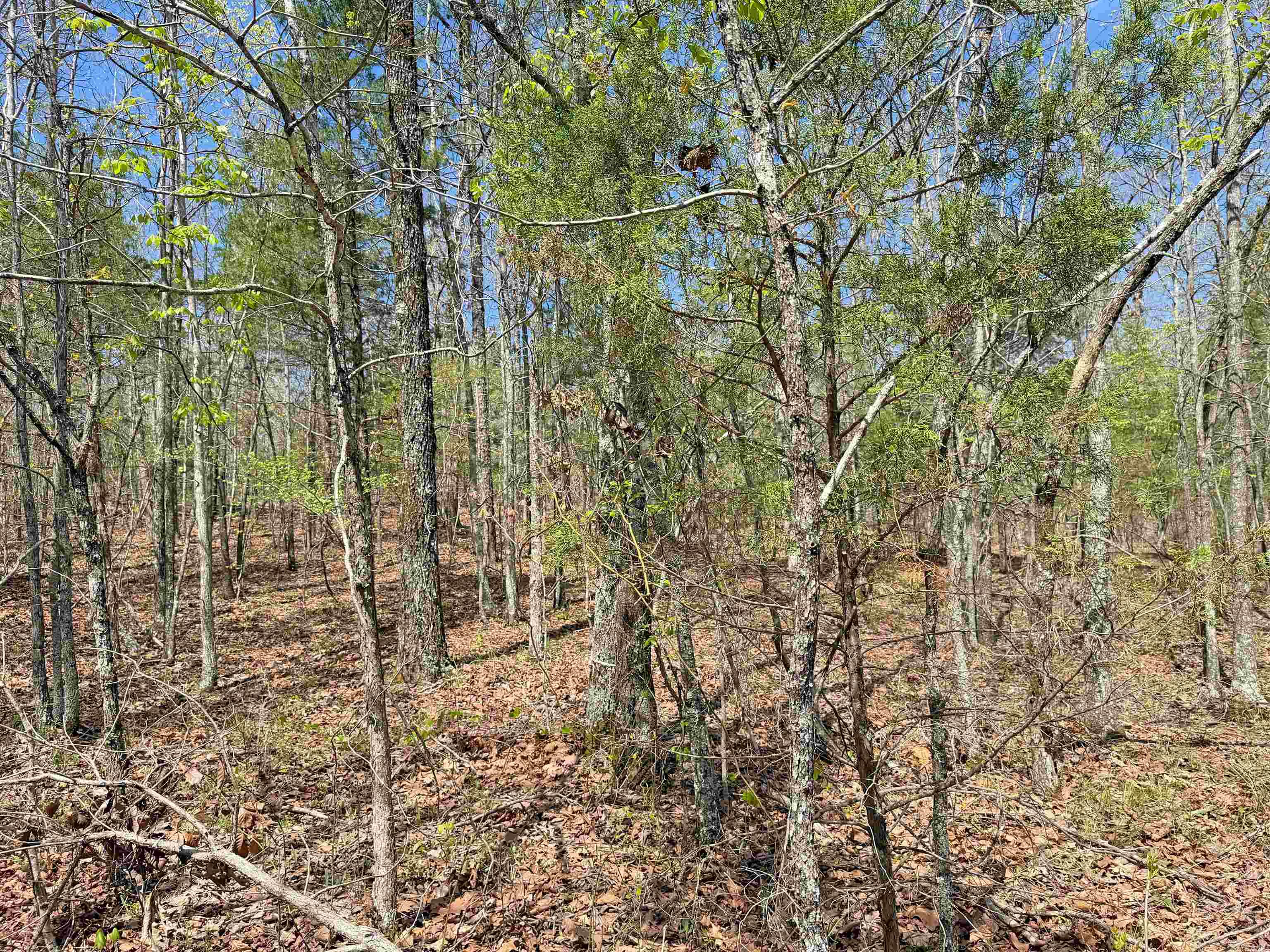 Metes & Bounds - Land