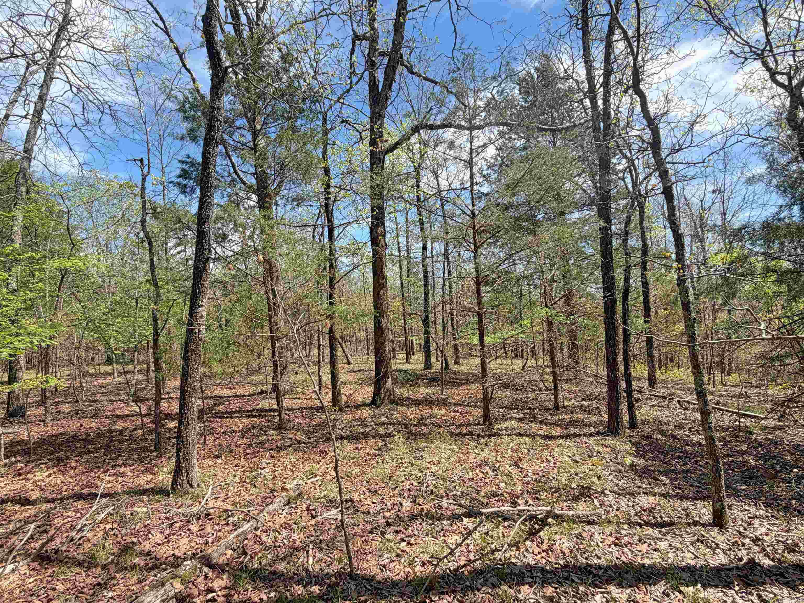 Metes & Bounds - Land