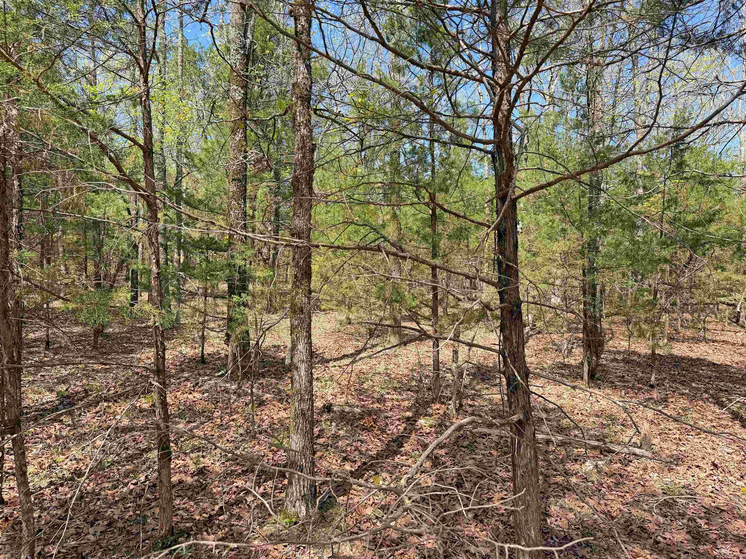 Metes & Bounds - Land