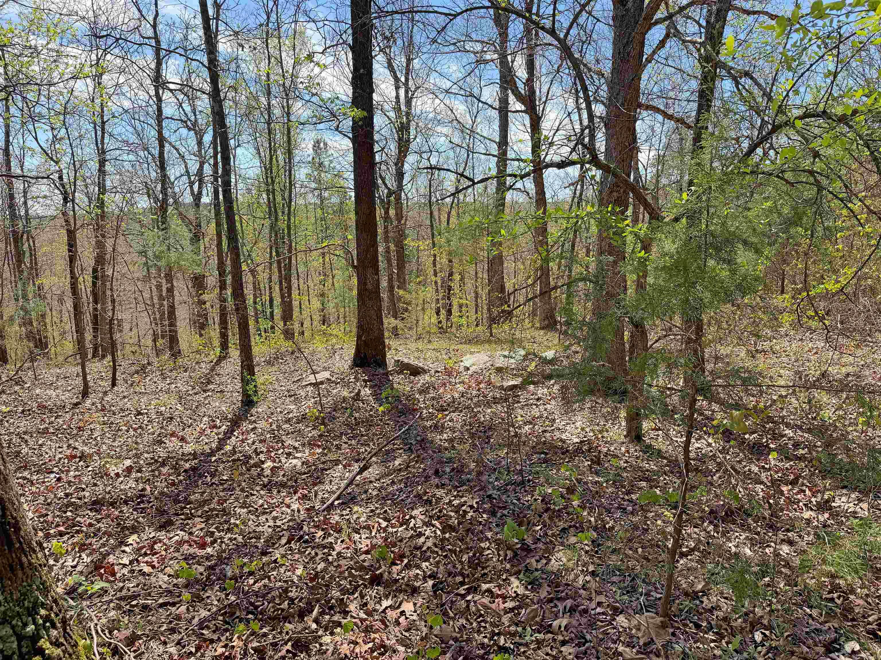 Metes & Bounds - Land