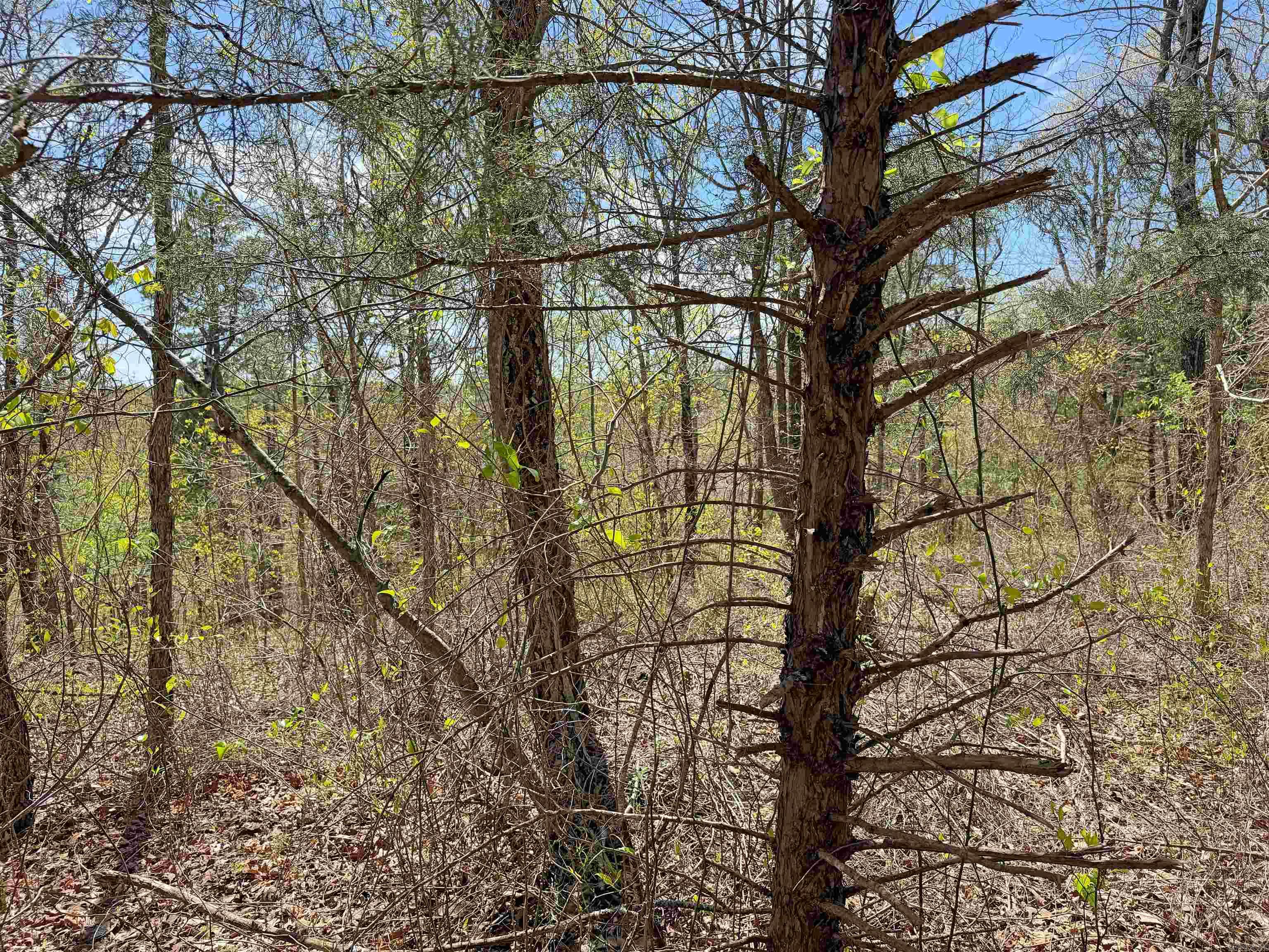 Metes & Bounds - Land