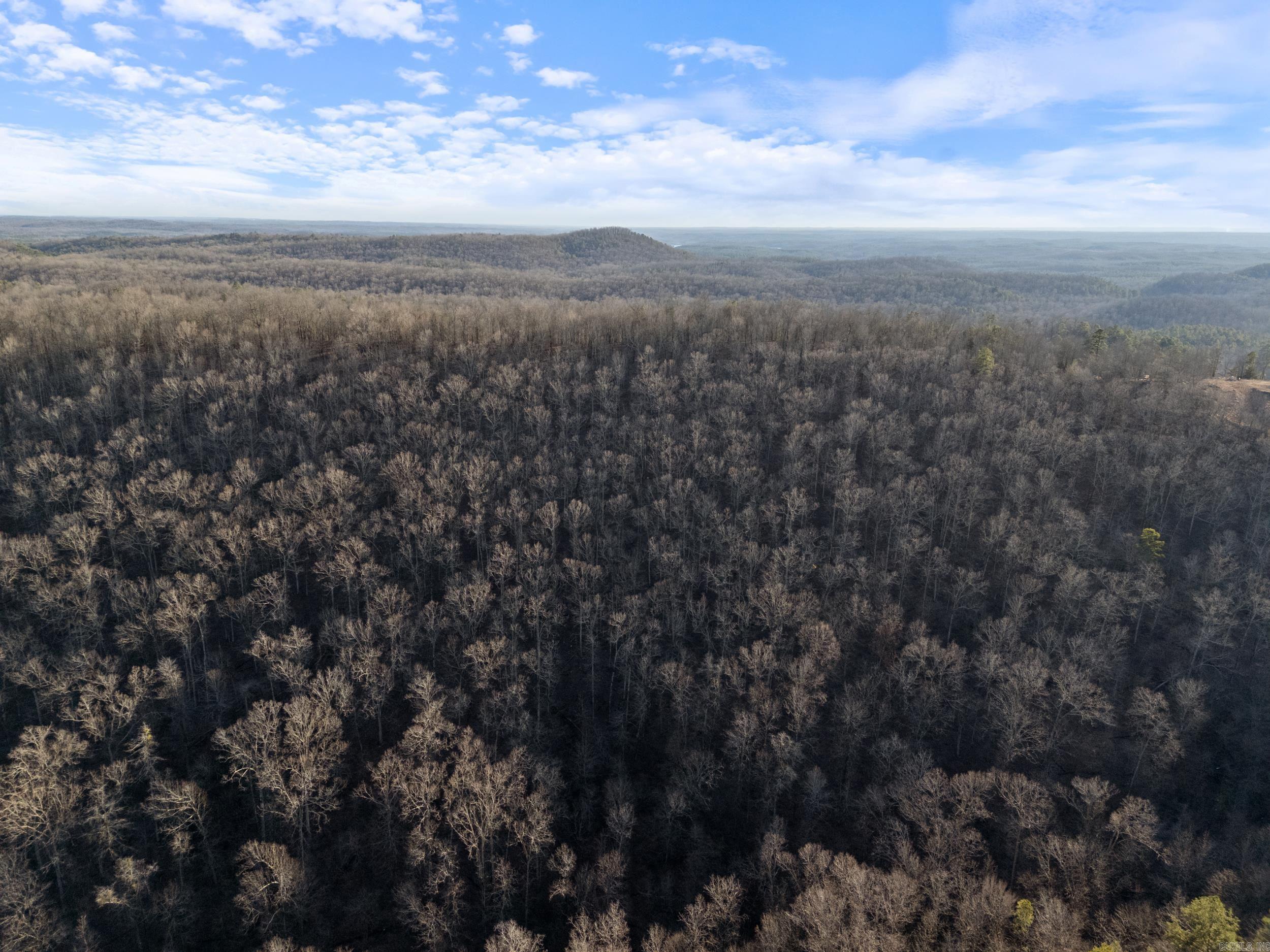 Brush Mountain - Land