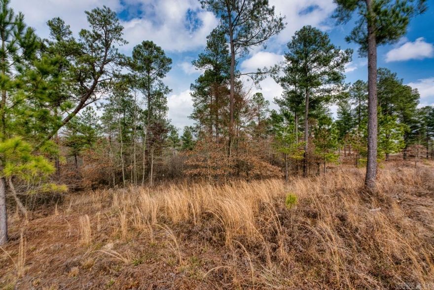 Welcome to your serene retreat in the heart of nature!  Minutes away from Kirby Landing on Lake Greeson, this property has Electric and Water at Road and ready for Septic to be installed for your new build! Live full time or make income property for those looking to enjoy Lake Greeson and the outdoors. This property has a nice creek that crosses near the middle of the 4.54 Acres too! Must see!