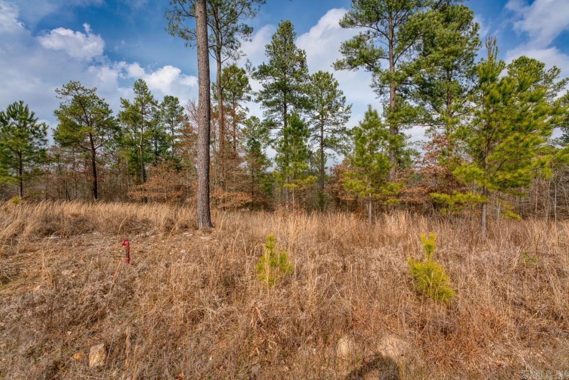 BEAR CREEK RIDGE SUBDIVISION PHA - Land