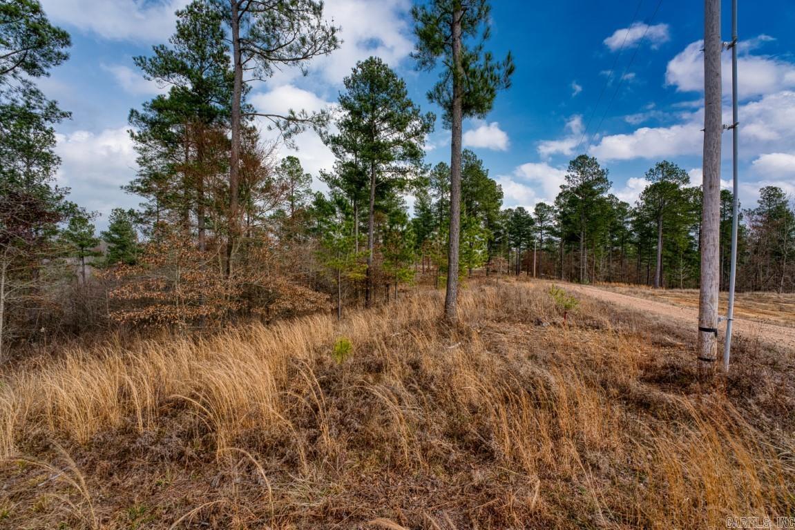 BEAR CREEK RIDGE SUBDIVISION PHA - Land