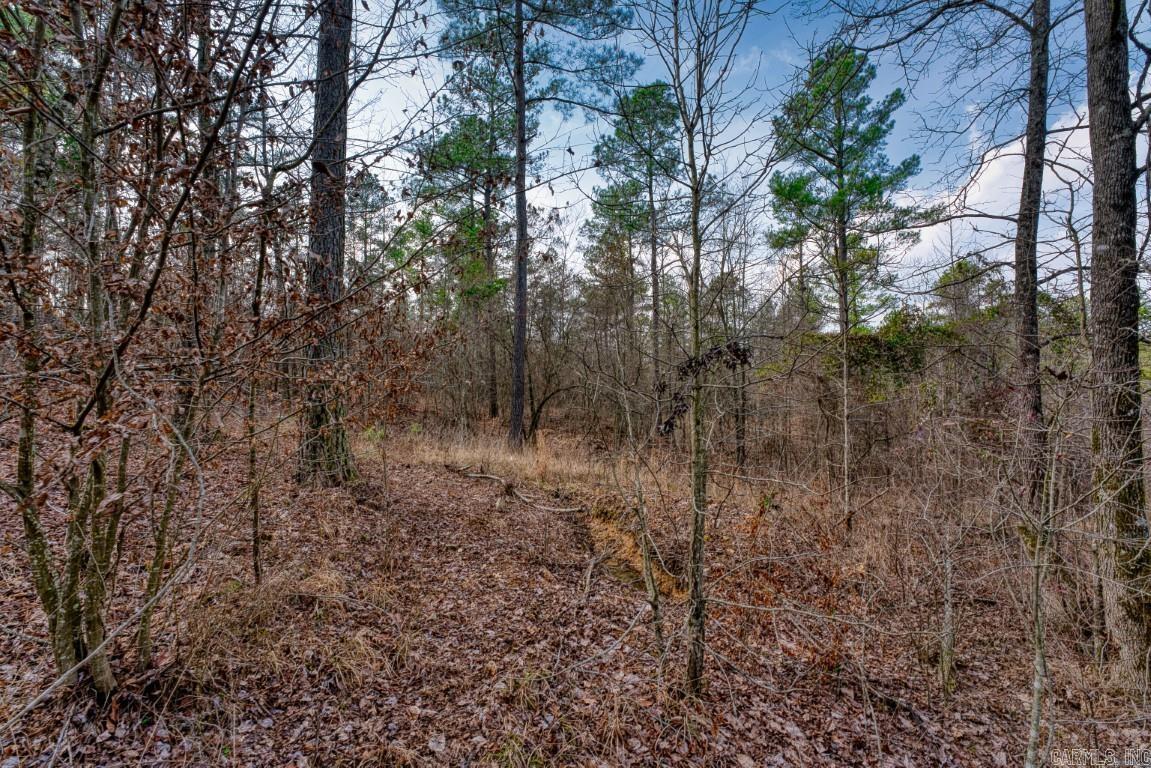 BEAR CREEK RIDGE SUBDIVISION PHA - Land