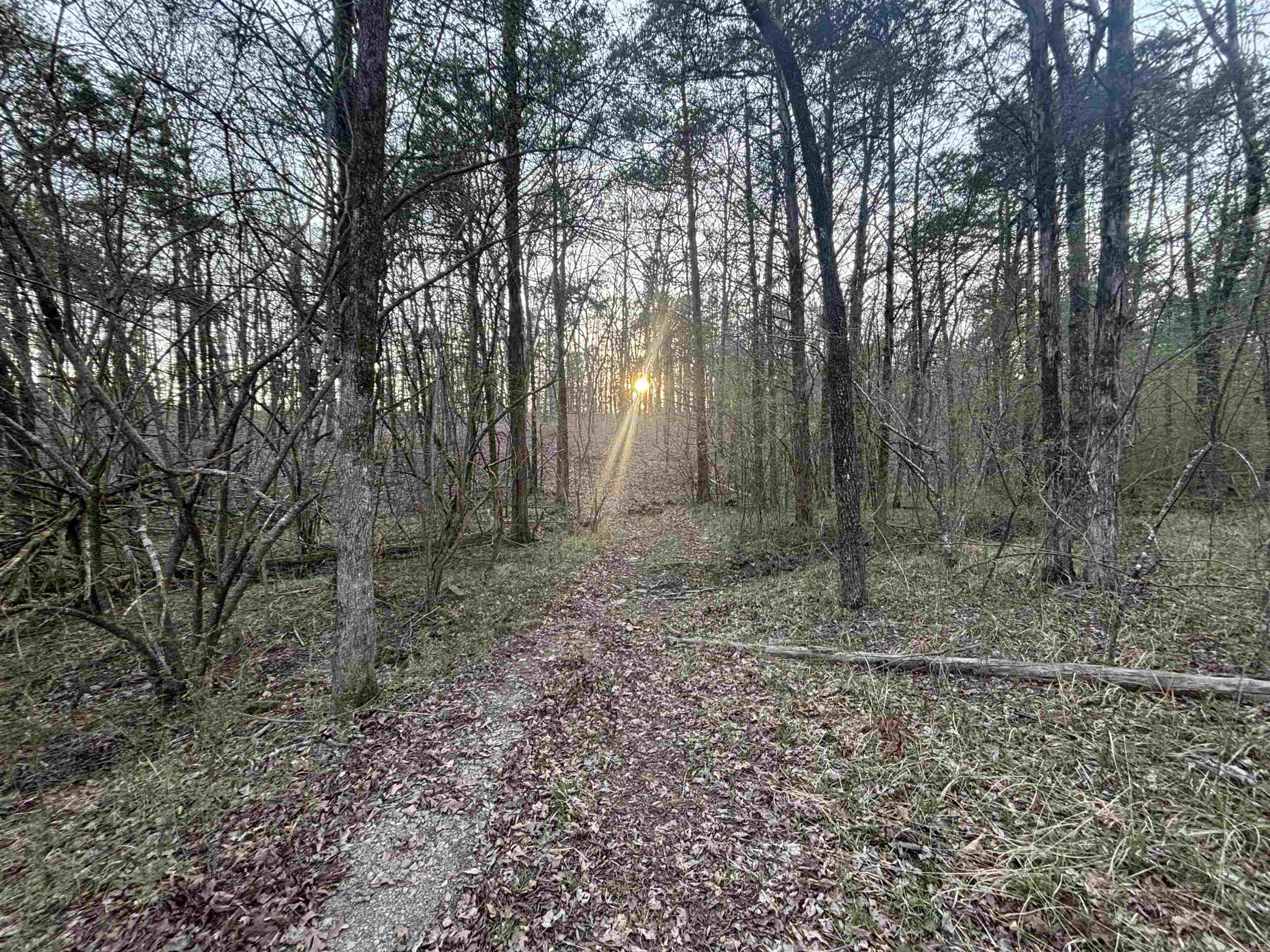 Edgewood Cove - Land