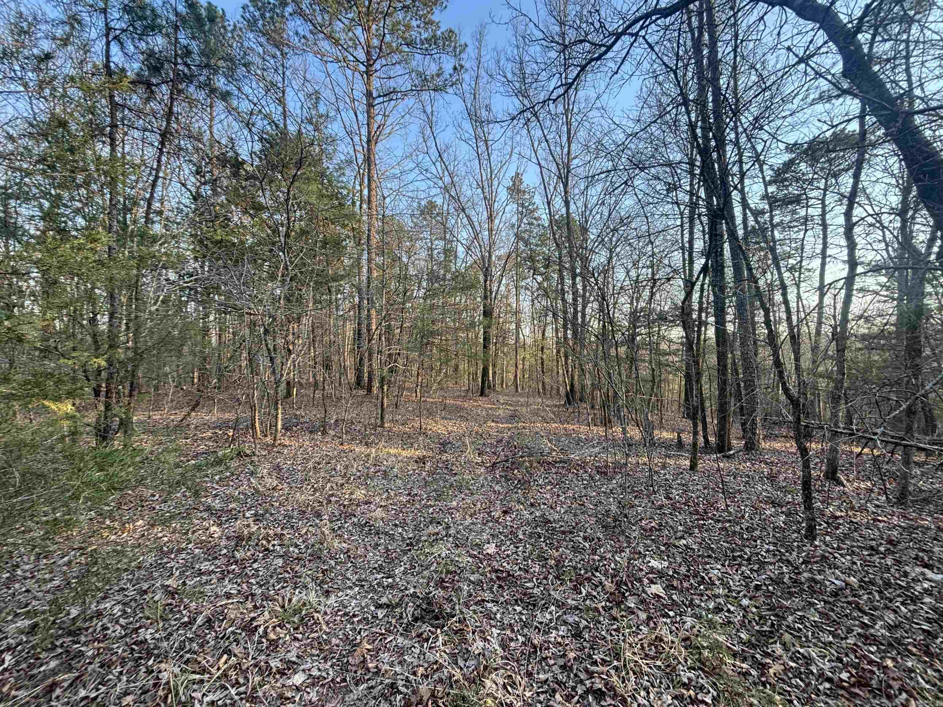 Edgewood Cove - Land