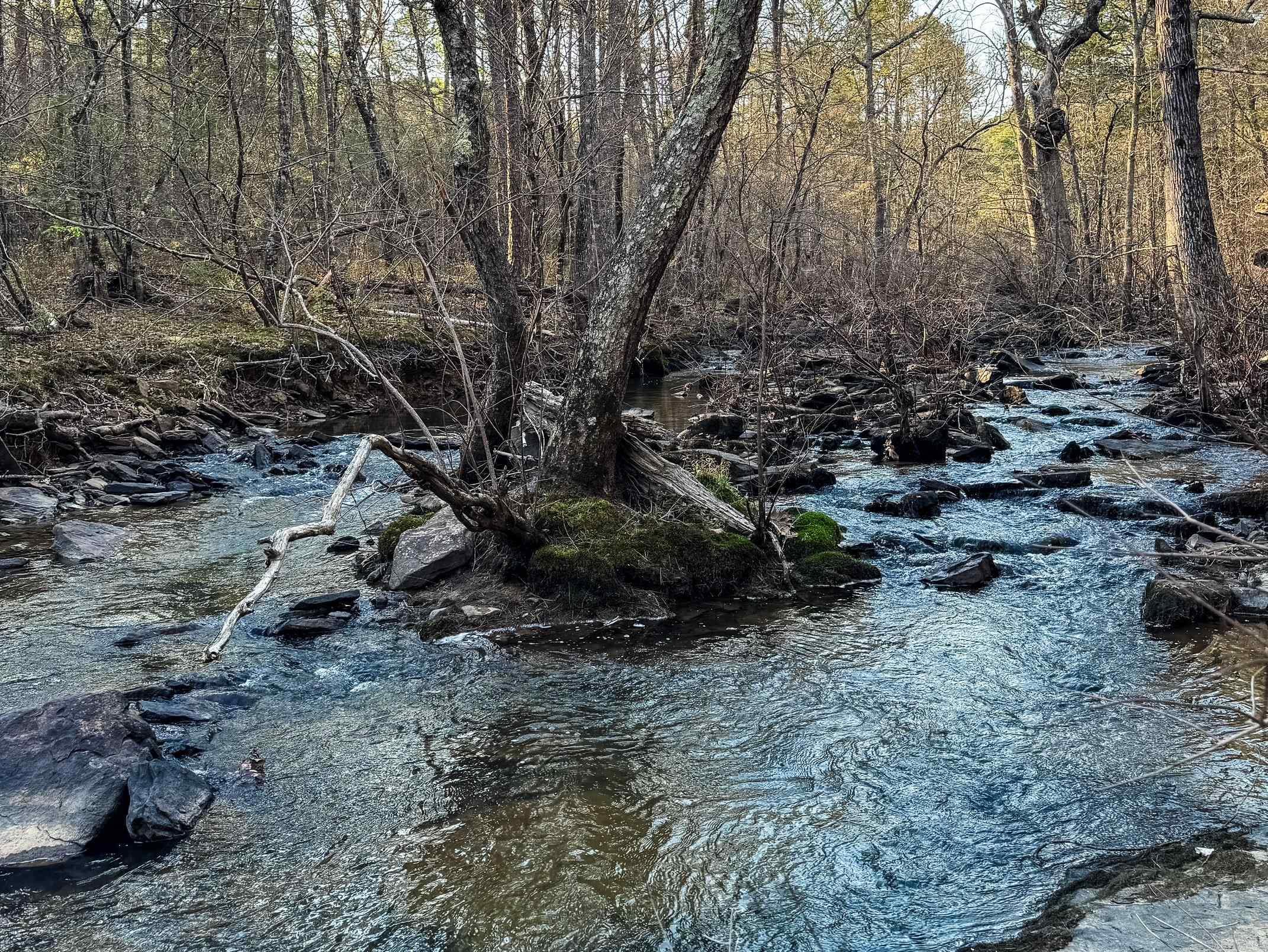 Edgewood Cove - Land