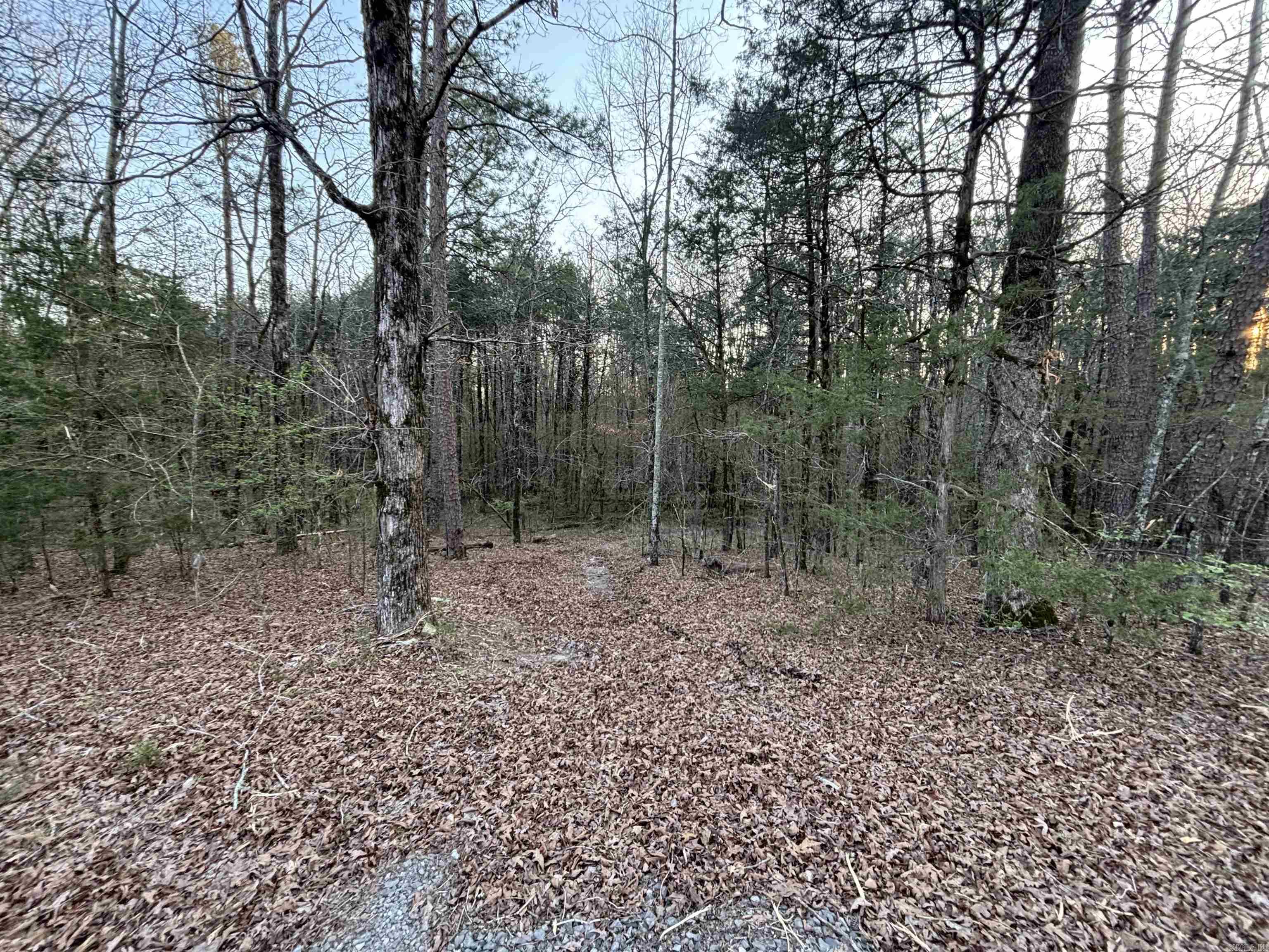 Edgewood Cove - Land