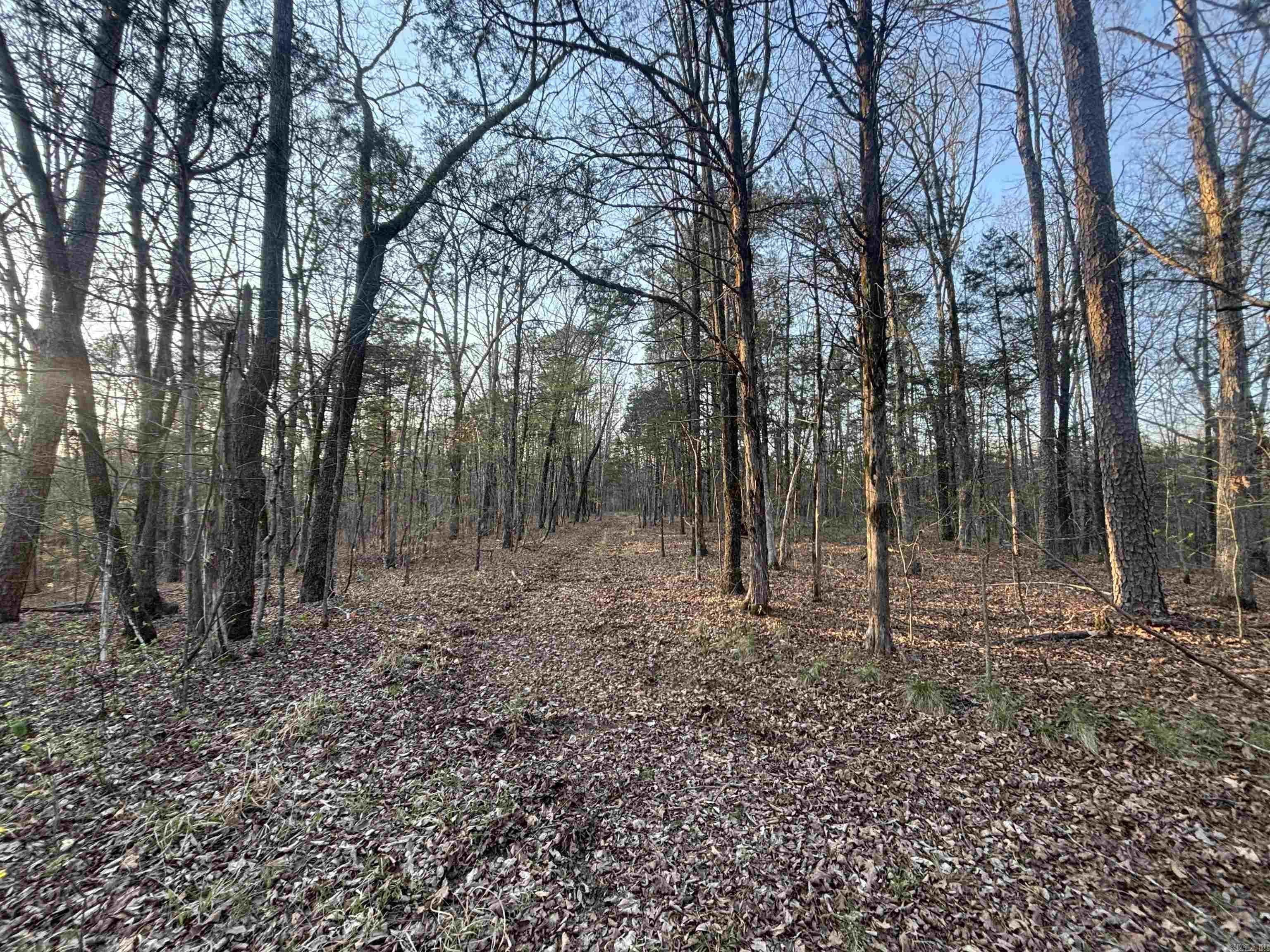 Edgewood Cove - Land