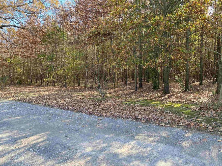 If you’ve been waiting for land that actually gives you options, this one checks a lot of boxes. Located at 10 Glass in Fisher, AR, this 5.35-acre tract sits in town yet still feels tucked away, with pine trees throughout and easy access right off Highway 49.  Whether you’ve been dreaming of building a home with room to breathe, looking for a duck hunting spot, or even envisioning a weekend lodge or getaway, this property gives you the flexibility to make it happen. It’s rare to find acreage this size in town, especially one that offers both convenience and privacy.  The highway frontage makes access simple, while the natural setting creates the kind of space you can shape into whatever fits your vision—new construction, recreational use, or an investment with long-term potential. No overcrowded lots, no cookie-cutter feel—just land and opportunity.  If you’re someone who wants room to build, hunt, relax, or invest without being far from town, this is worth a closer look. Properties like this don’t come along often in Fisher. Come walk it, picture the possibilities, and see why this one stands out.
