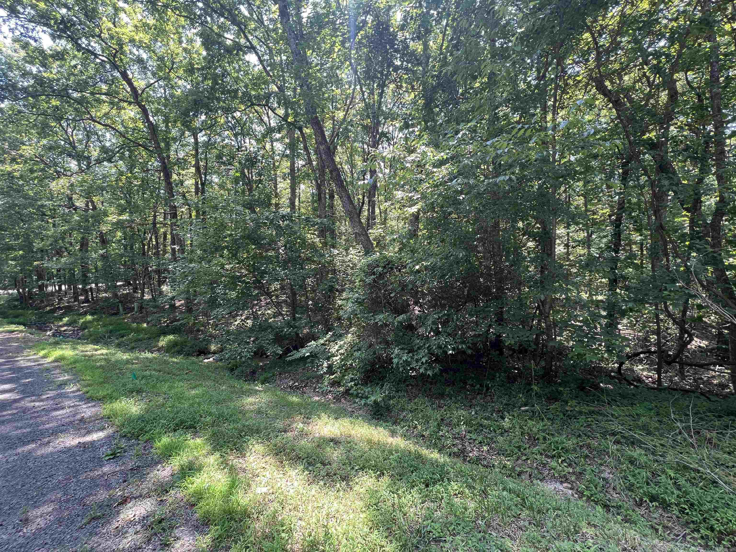 Wooded Subdivision Lot close to golf course ready for your dream home!