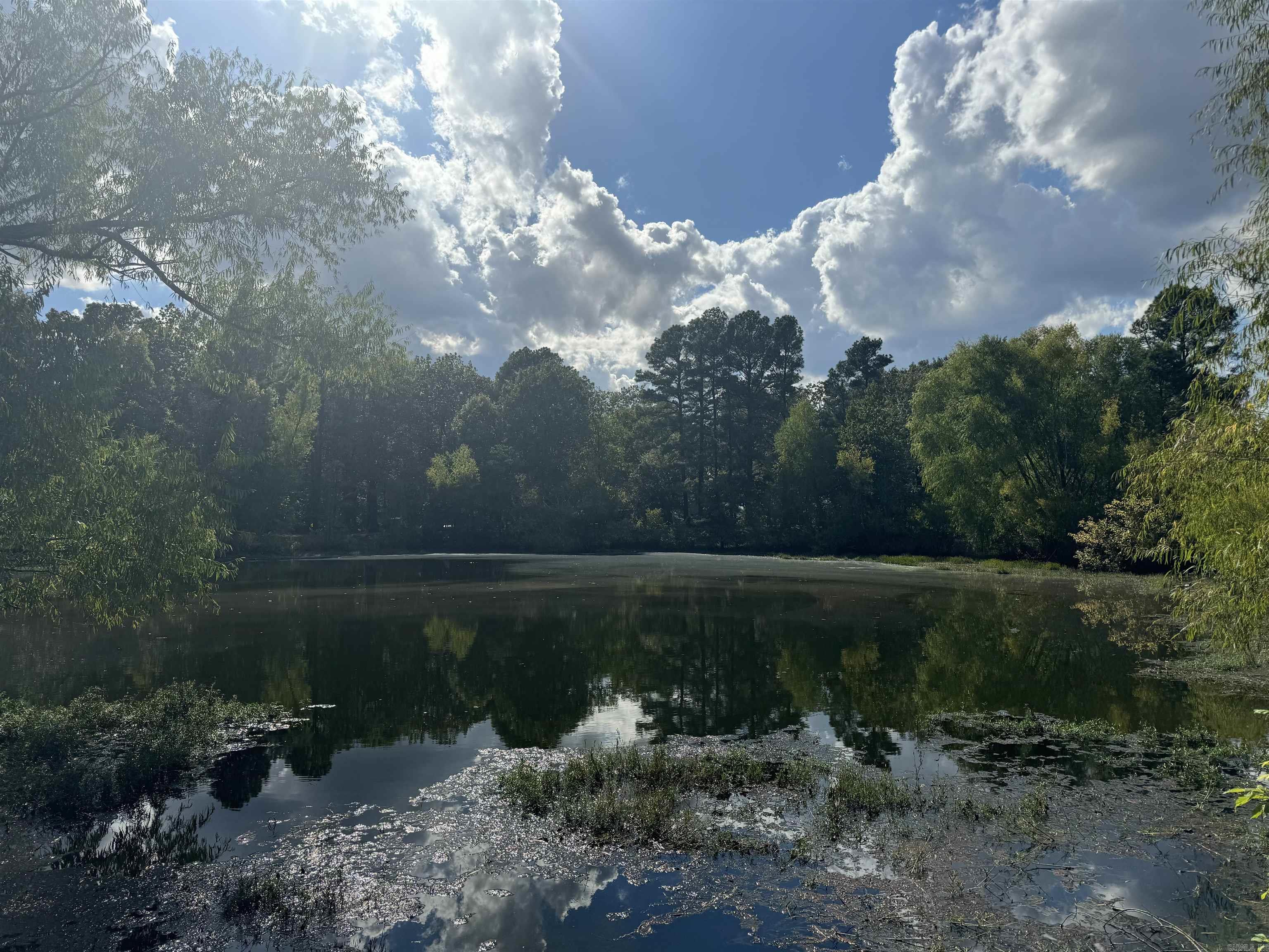 Remington Acres - Land