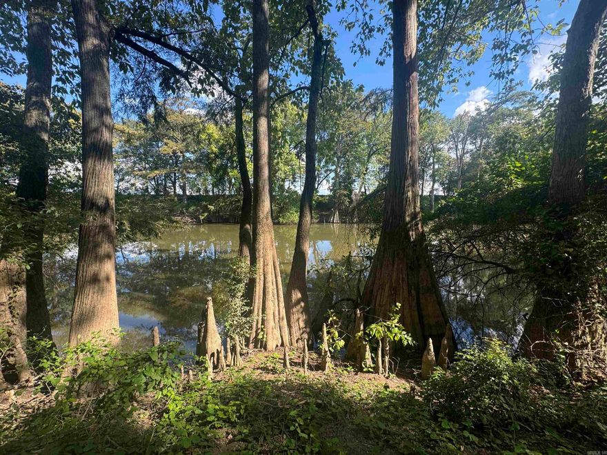 Once in a lifetime opportunity to own your private retreat on the Bayou Meto in Remington Estates!! This 12.9 acres is boasting with several opportunities to make your own vision become a reality.  There is 700 foot of waterfront on the Bayou Meto lined with huge Cypress trees and boat ramp for entry as well as a 1+ acre stocked pond. This plot sits off the road for seclusion and would make a great hunting club or RV park if searching for an investment property. There is electric on property, water at highway 15 and also has a well on site. Easy access to Little Rock being only 1 mile from interstate 40. Beautiful property with large pavilion/floating dock over looking the pond.   Lots of opportunity here so come check it out today and make this retreat your own piece of paradise!!