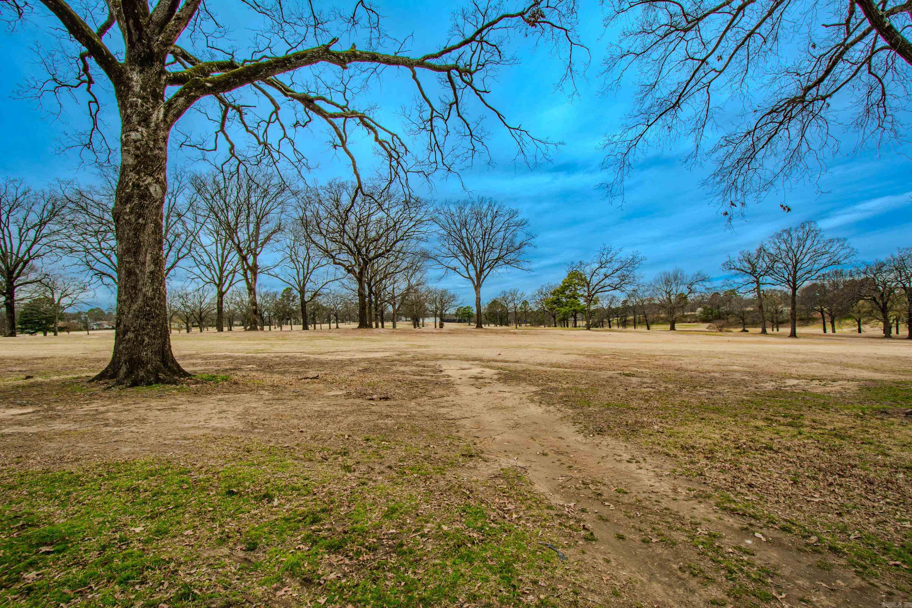 COUNTRY CLUB PARK - Residential