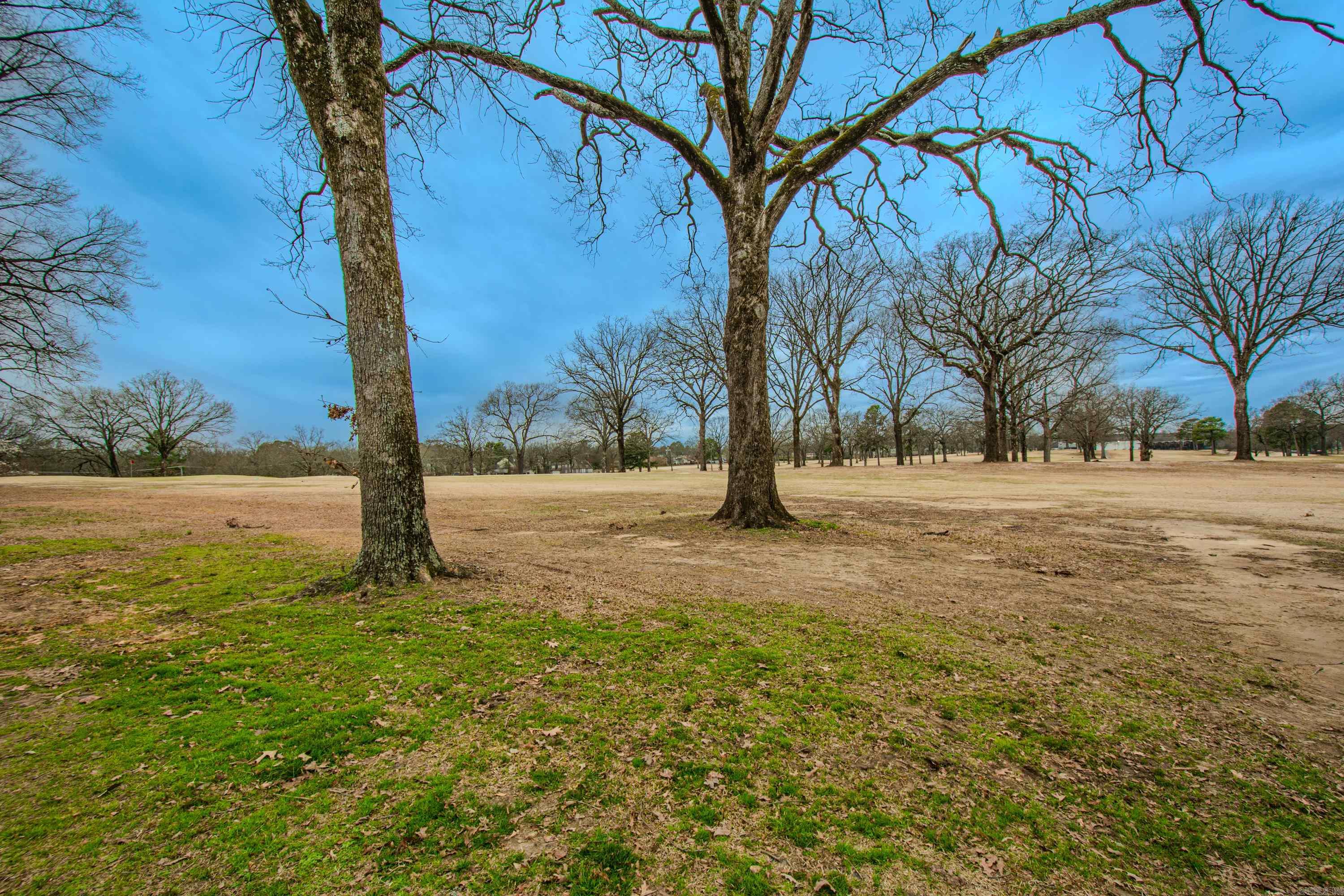 COUNTRY CLUB PARK - Residential