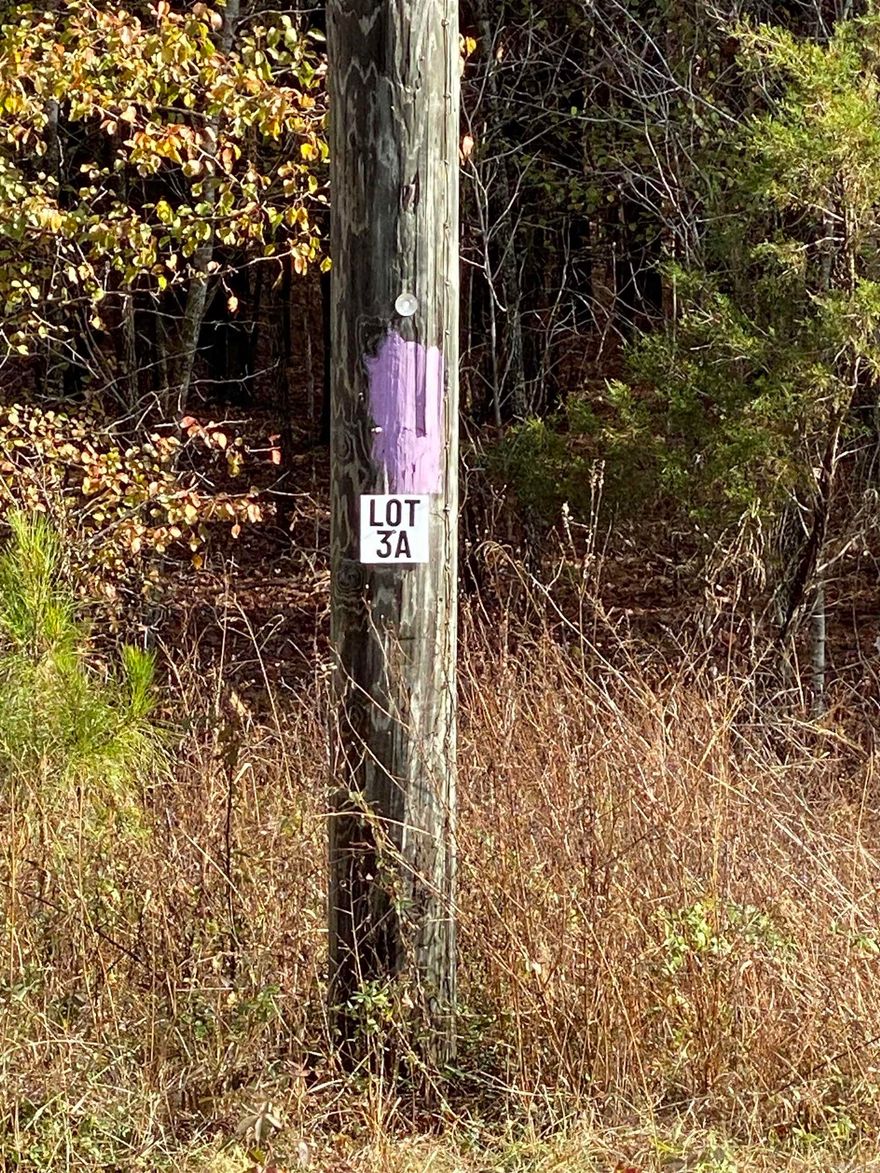 Lot 3A is an approx 10-Acre Lot within Tract A.  Tract A begins at the Corner of Forbus and Hwy 89.  Acreage is wooded and fronts Hwy 89.  Lot 3A is 1 of 4 lots available for purchase in Tract A.  Grand Prairie Water and First Electric at Road.  Fantastic opportunity for a spacious home place, duplexes, triplexes, and/or quadplexes.  Take a drive out to see this lot or the other lots listed. See Agent Remarks.