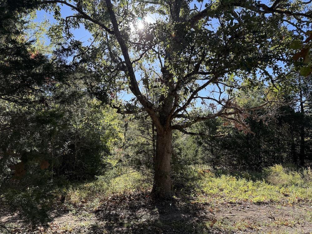 Not in Subdivision - Land