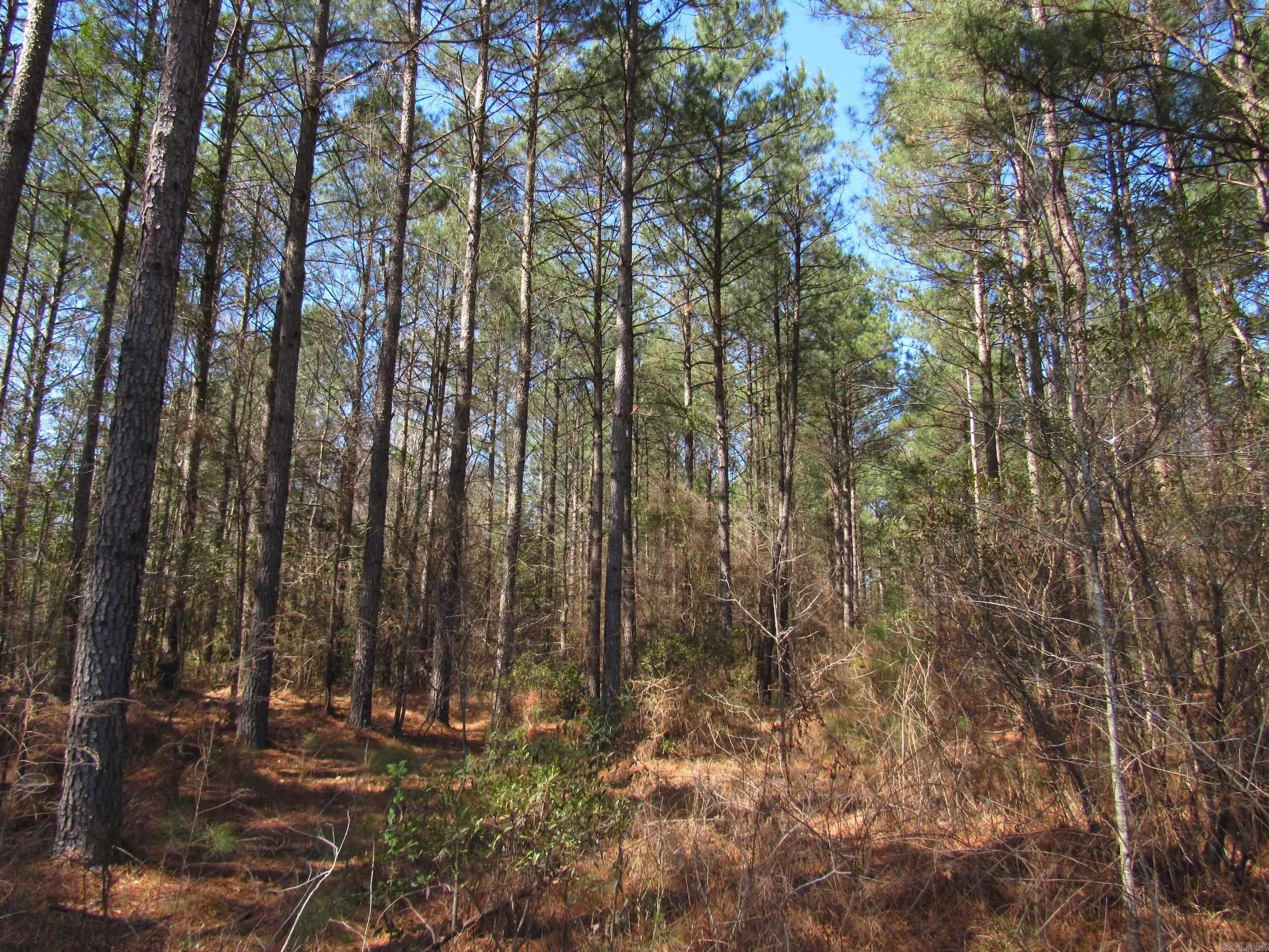 Not in Subdivision - Land