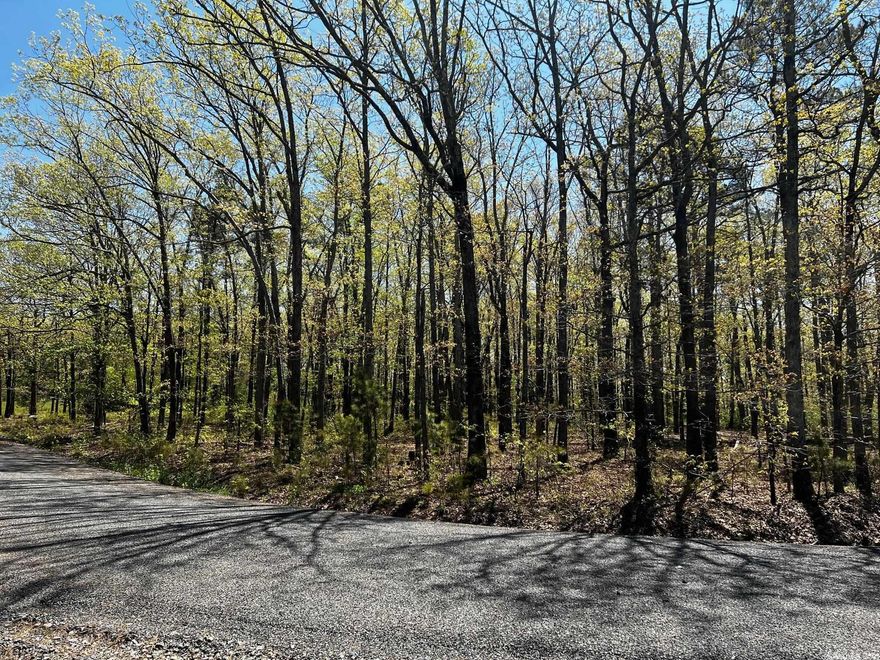 Level wooded lot, just over a half acre, ready to build your vacation or permanent home! Close to the boat launch at Old Highway 25. Very quiet area only 15 minutes from Heber Springs. Mineral rights will convey. Recent perc test conducted.