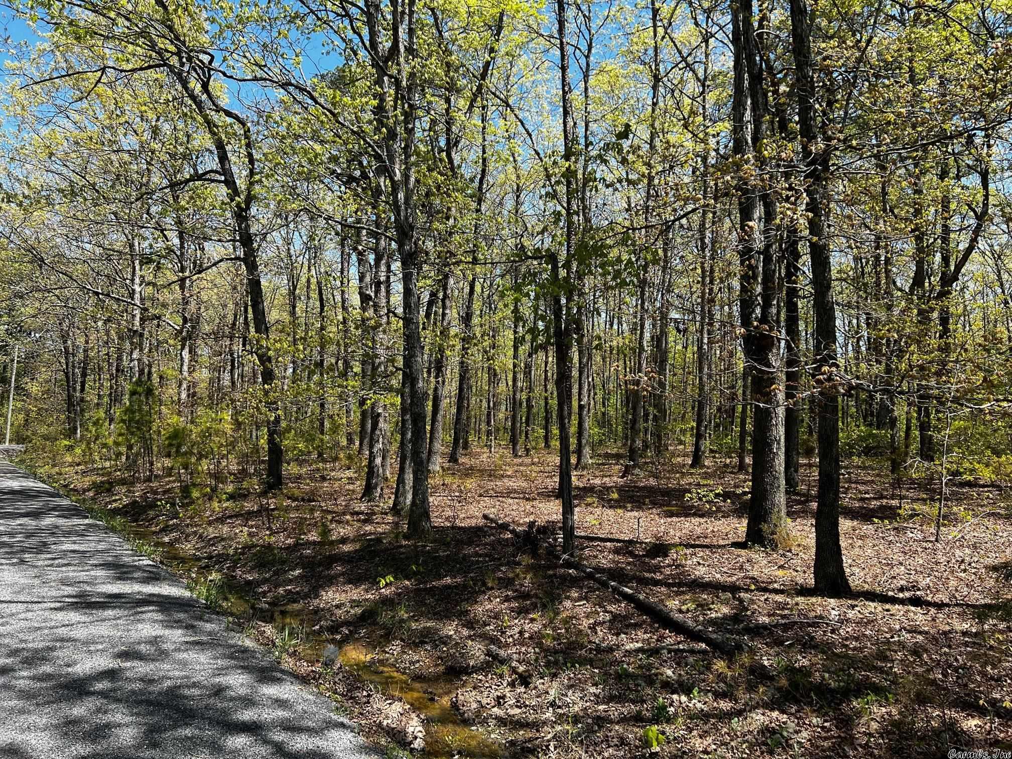 Woodland Acres - Land