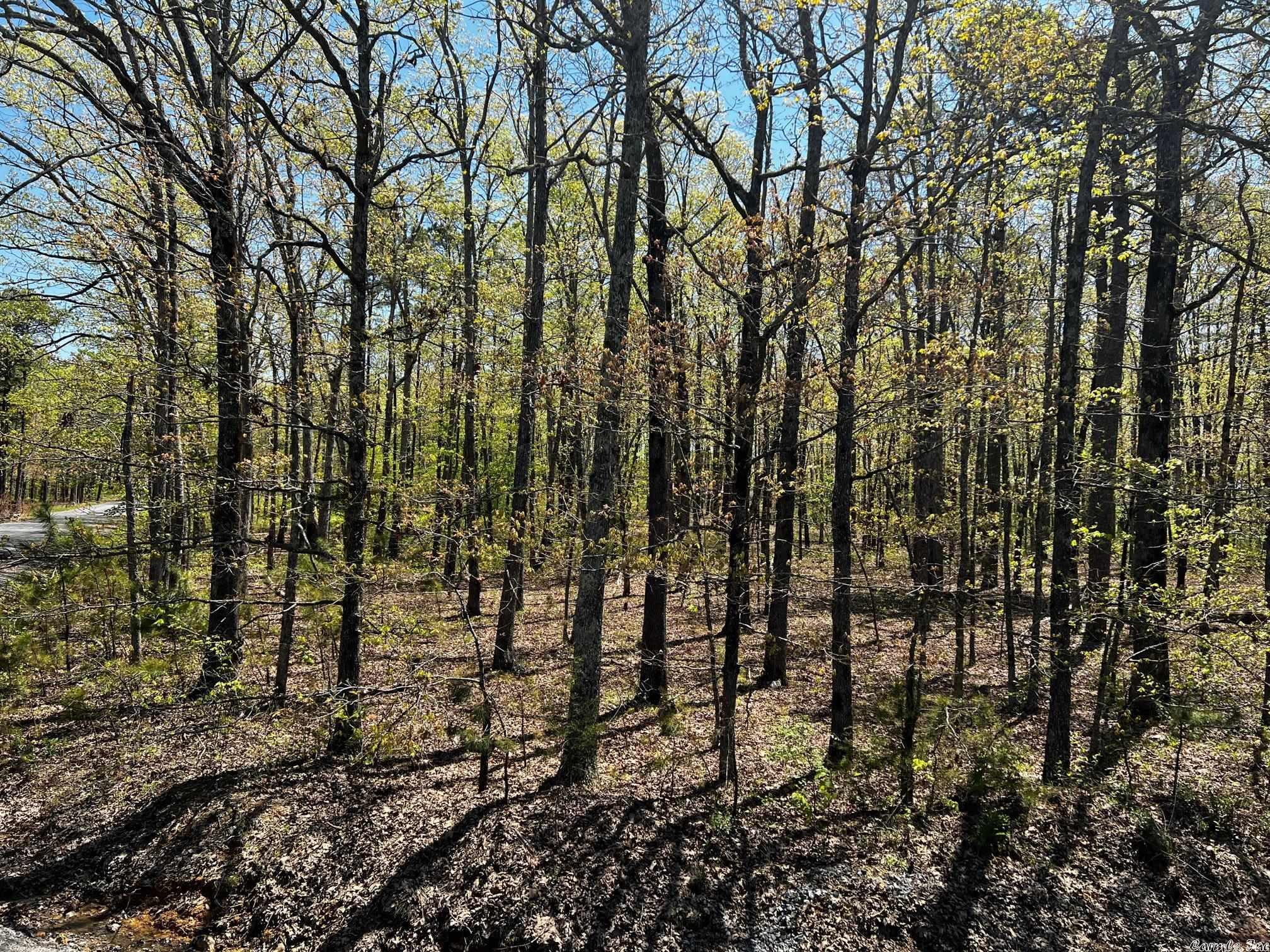 Woodland Acres - Land