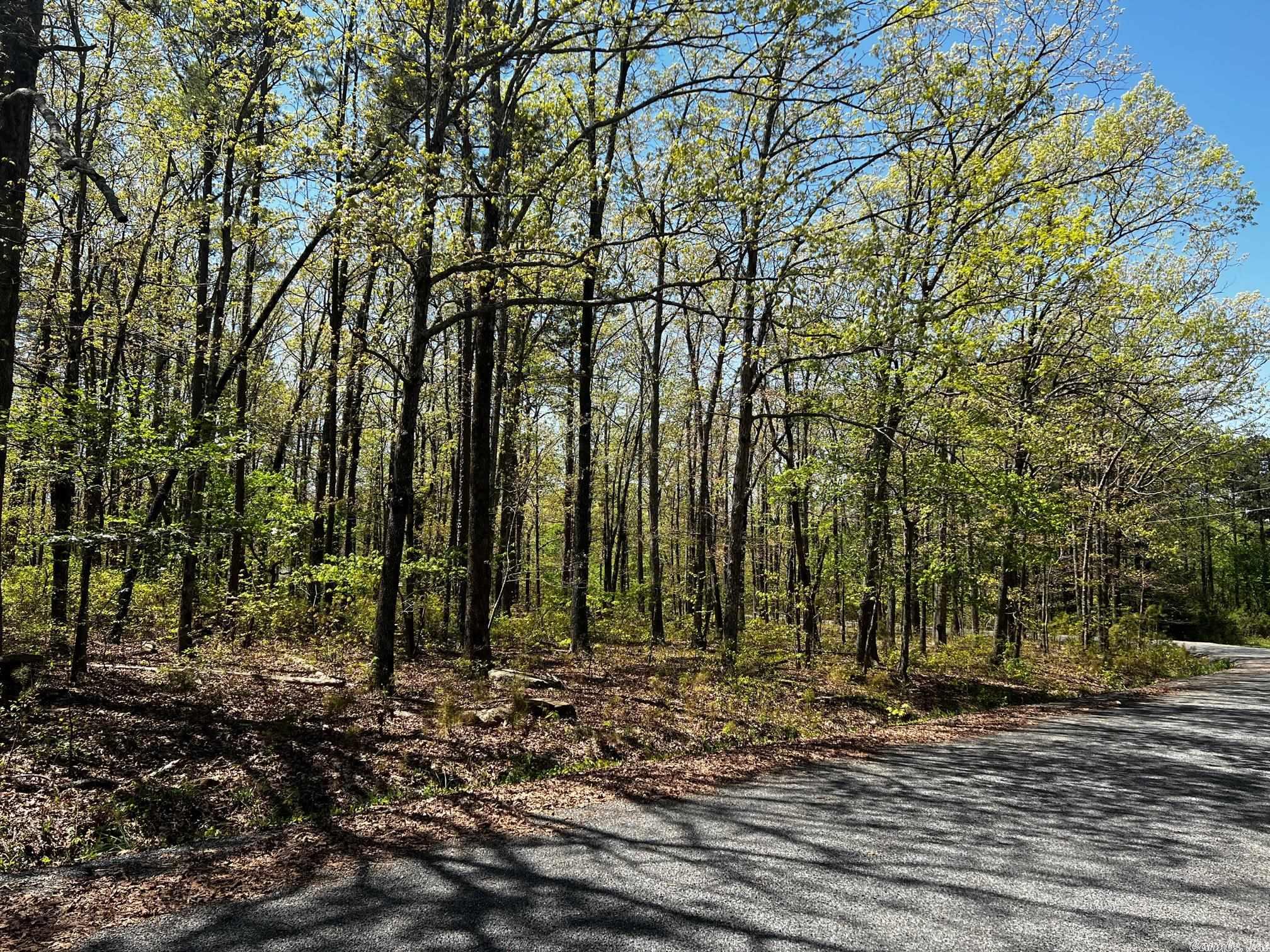 Woodland Acres - Land