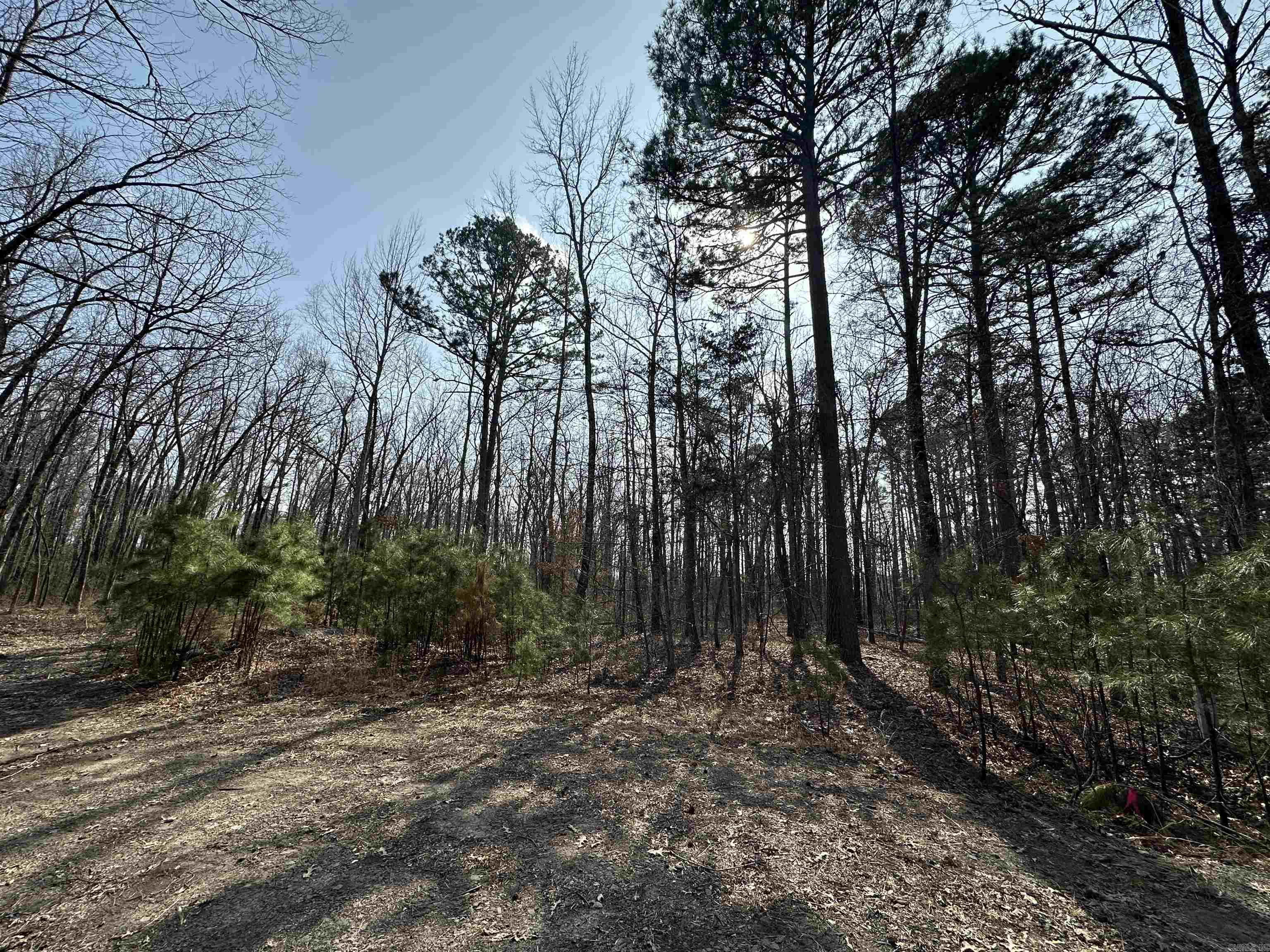 Not in List - Commercial Sale