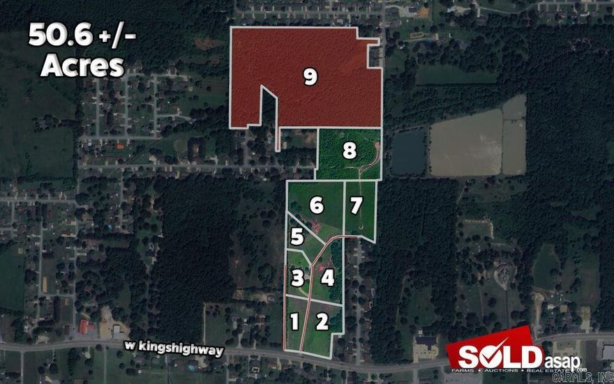 24.6 Acre Tract from Auction materials