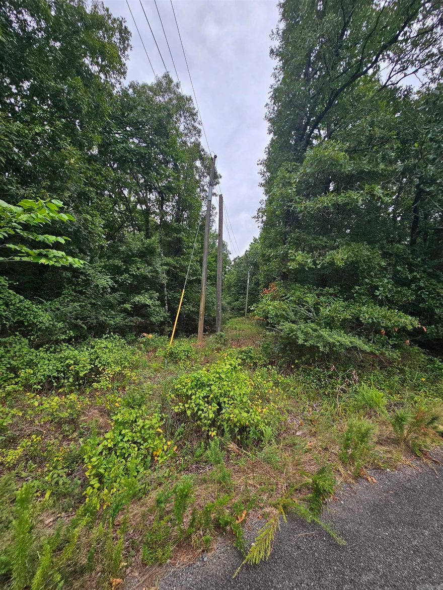 Beautiful 2 acres  See agent remarks